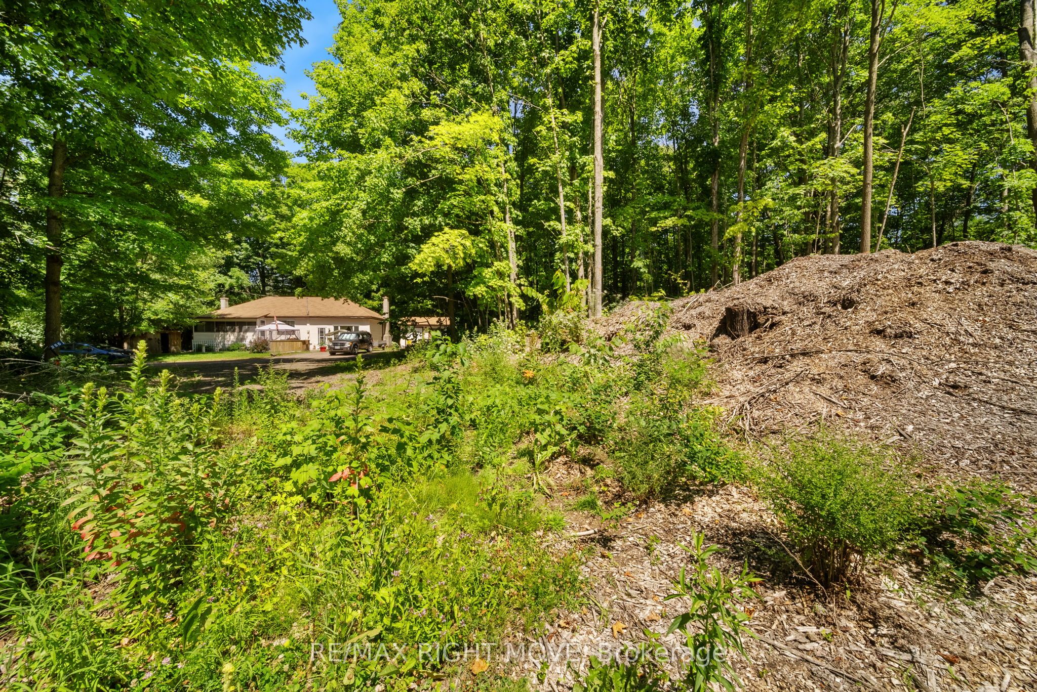 255 Pearl Drive Property Photo 3