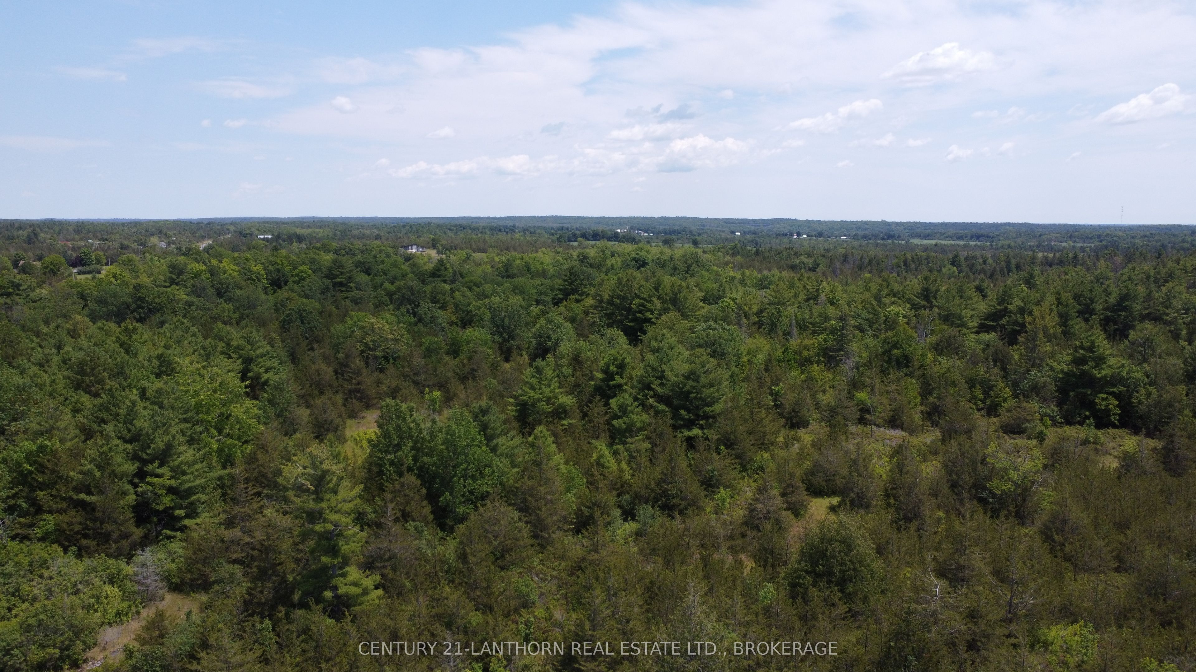 0 Pinegrove Road Property Photo 3