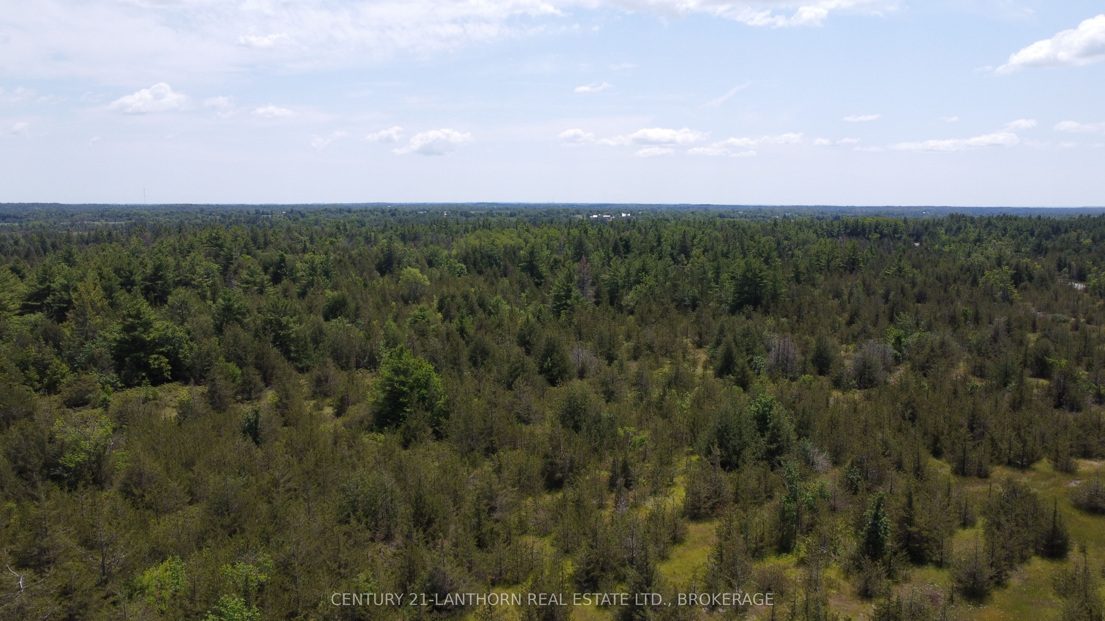 0 Pinegrove Road Property Photo 6