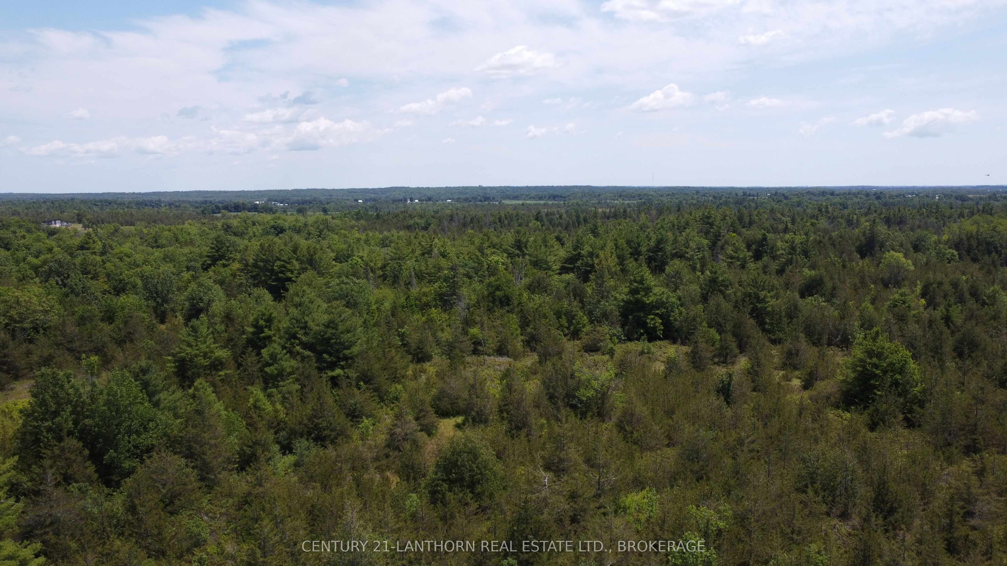 0 Pinegrove Road Property Photo 7