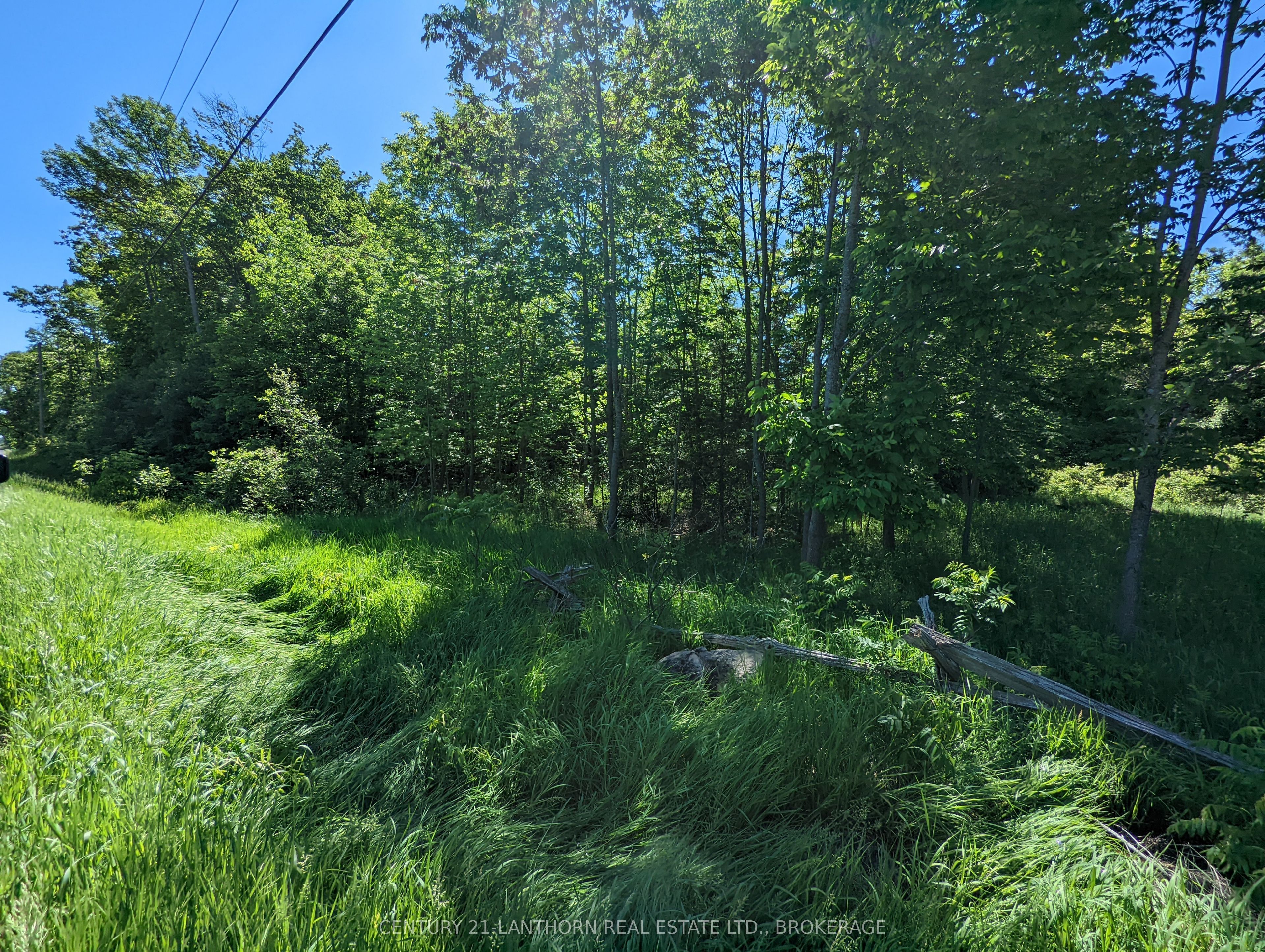0 Pinegrove Road Property Photo 9