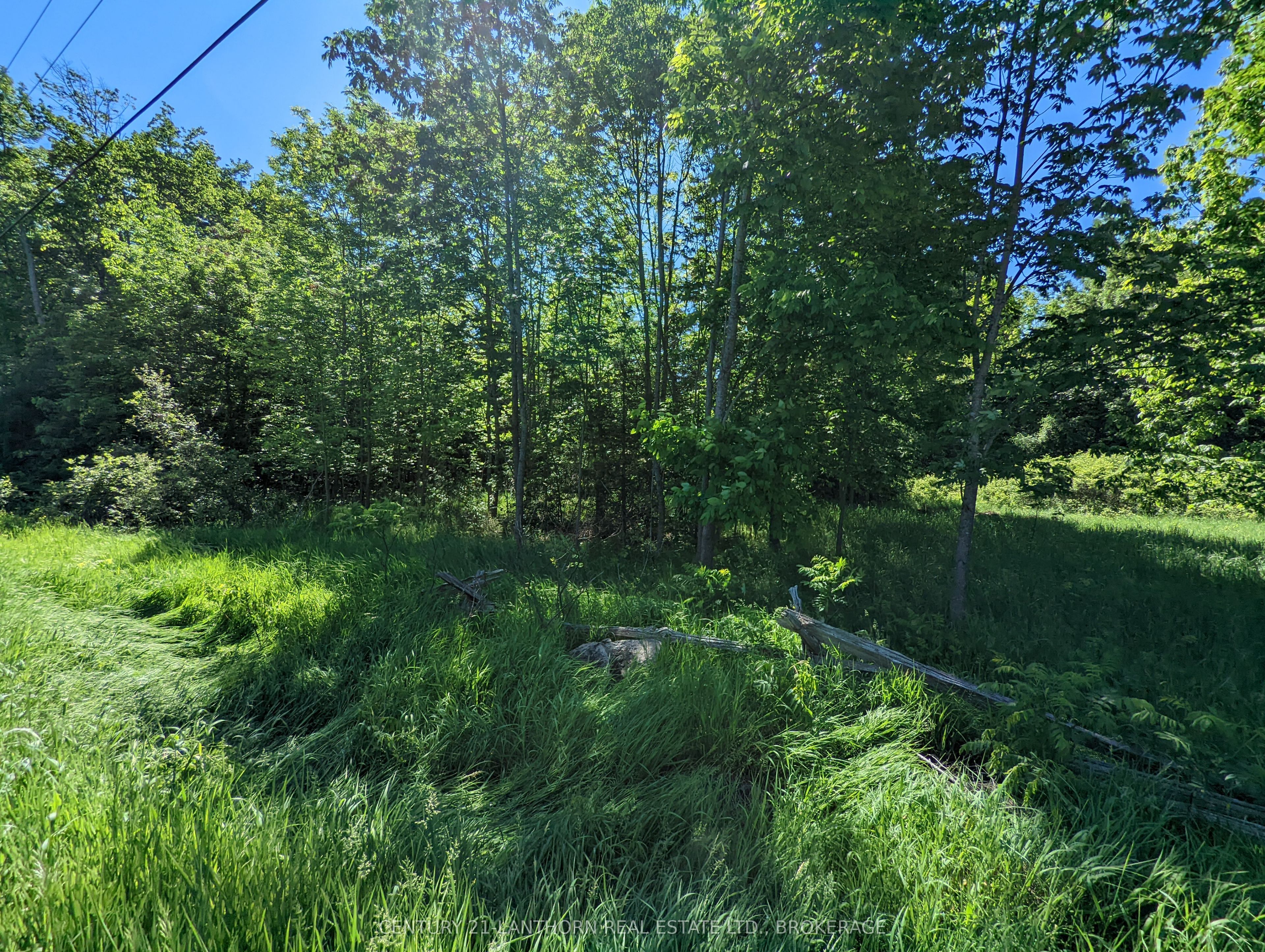 0 Pinegrove Road Property Photo 10