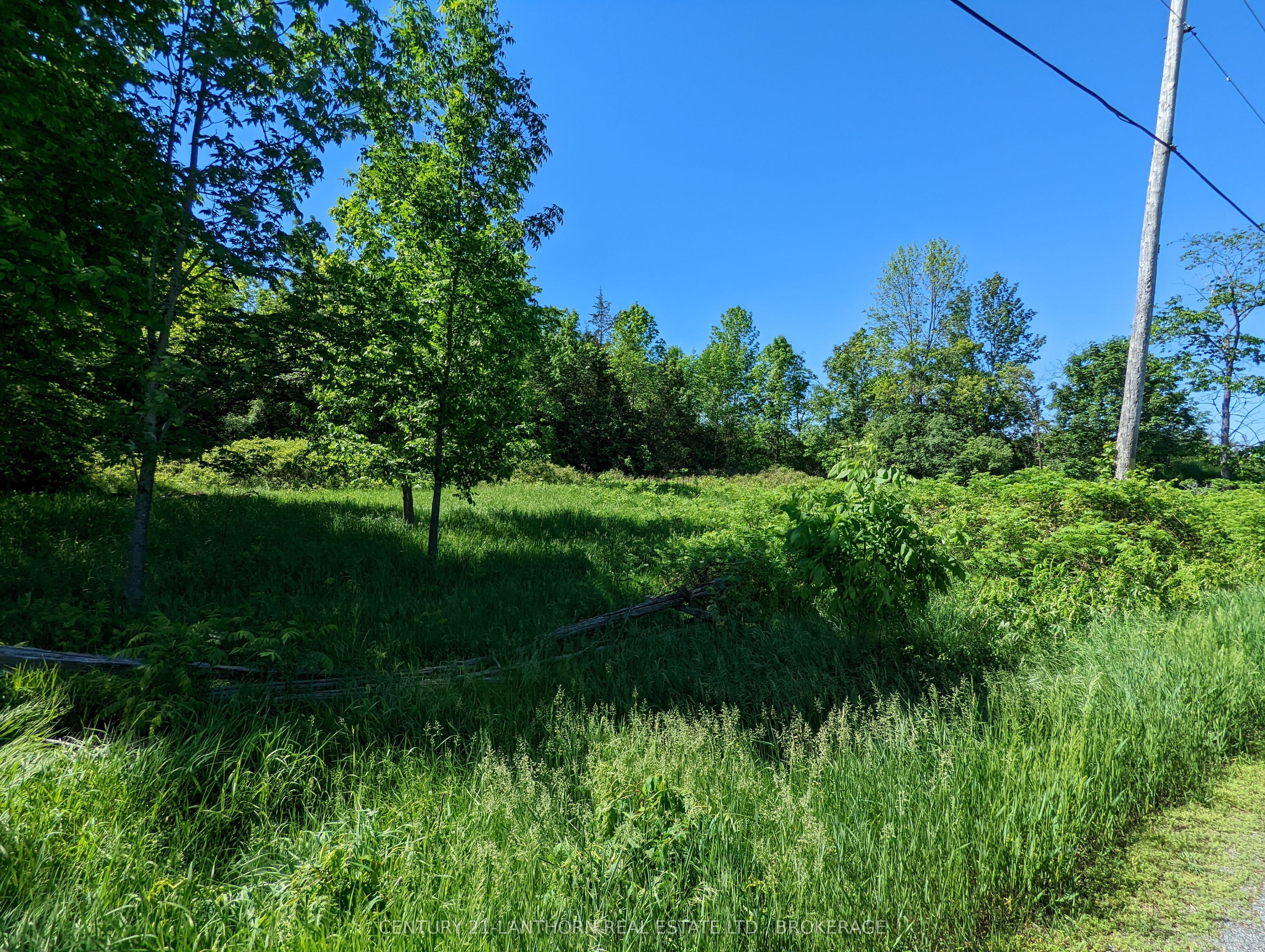 0 Pinegrove Road Property Photo 12