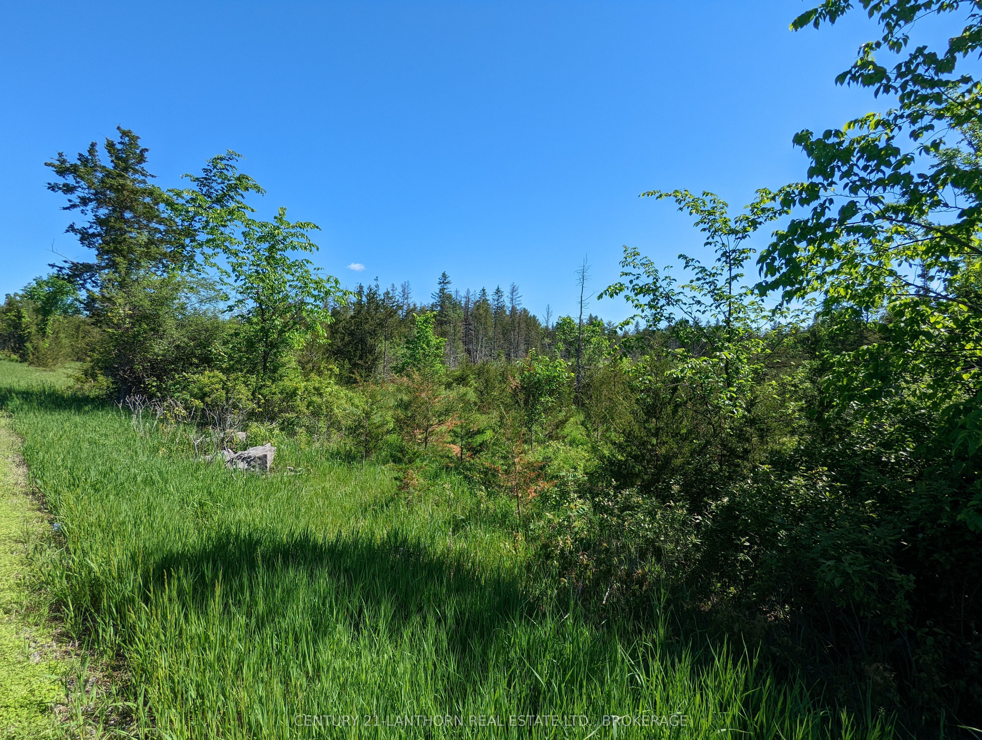 0 Pinegrove Road Property Photo 13