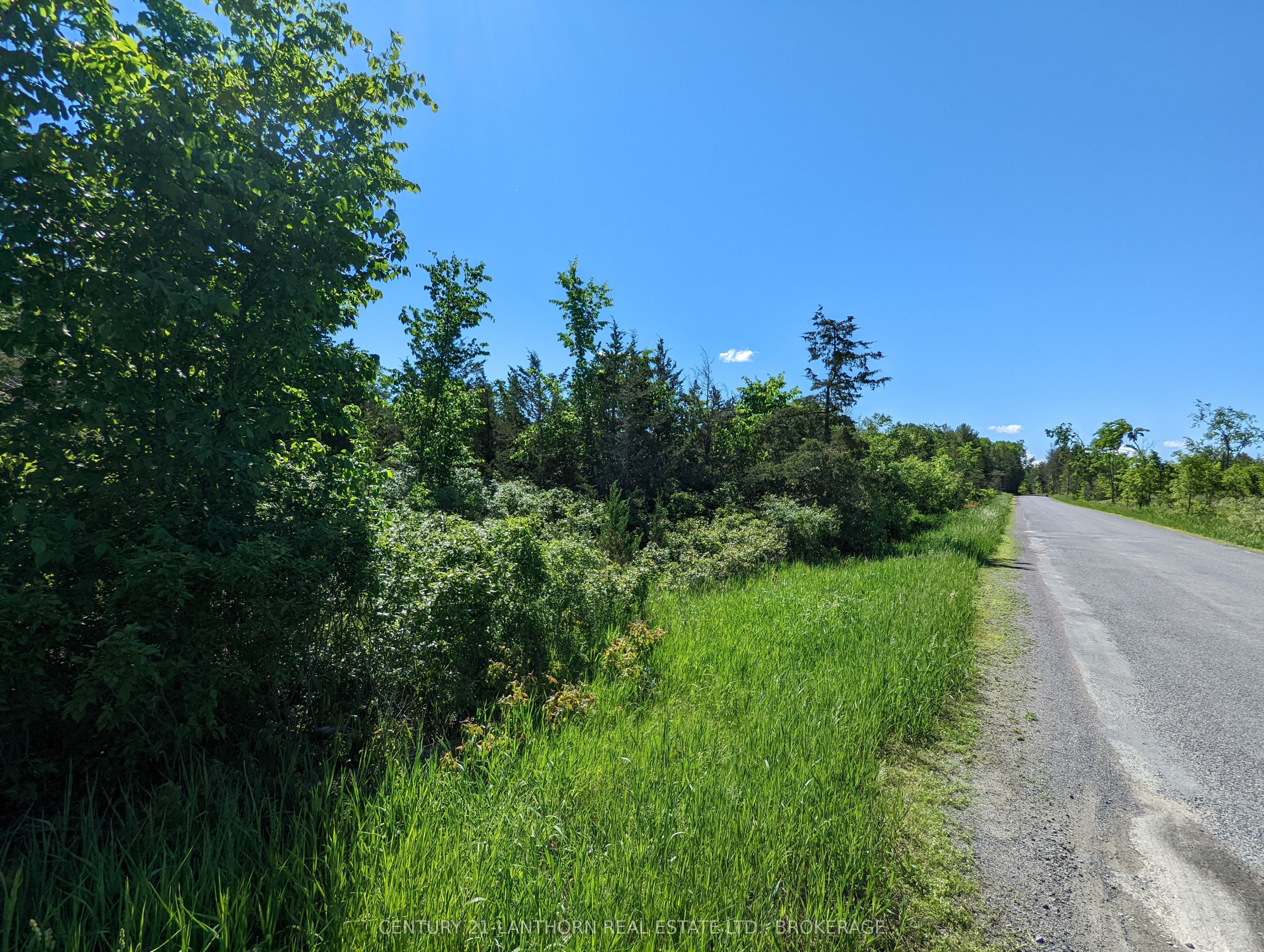 0 Pinegrove Road Property Photo 14