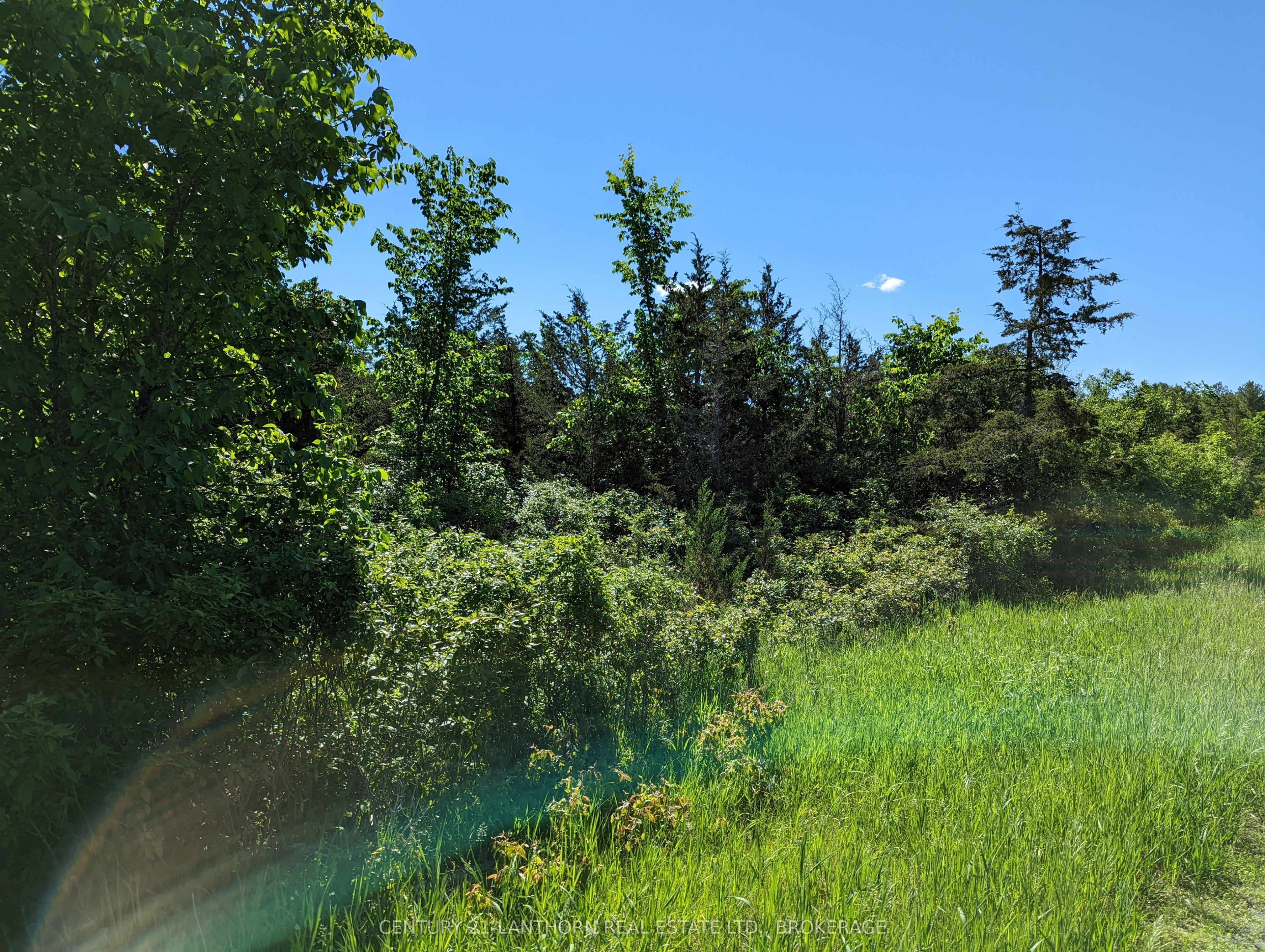0 Pinegrove Road Property Photo 16