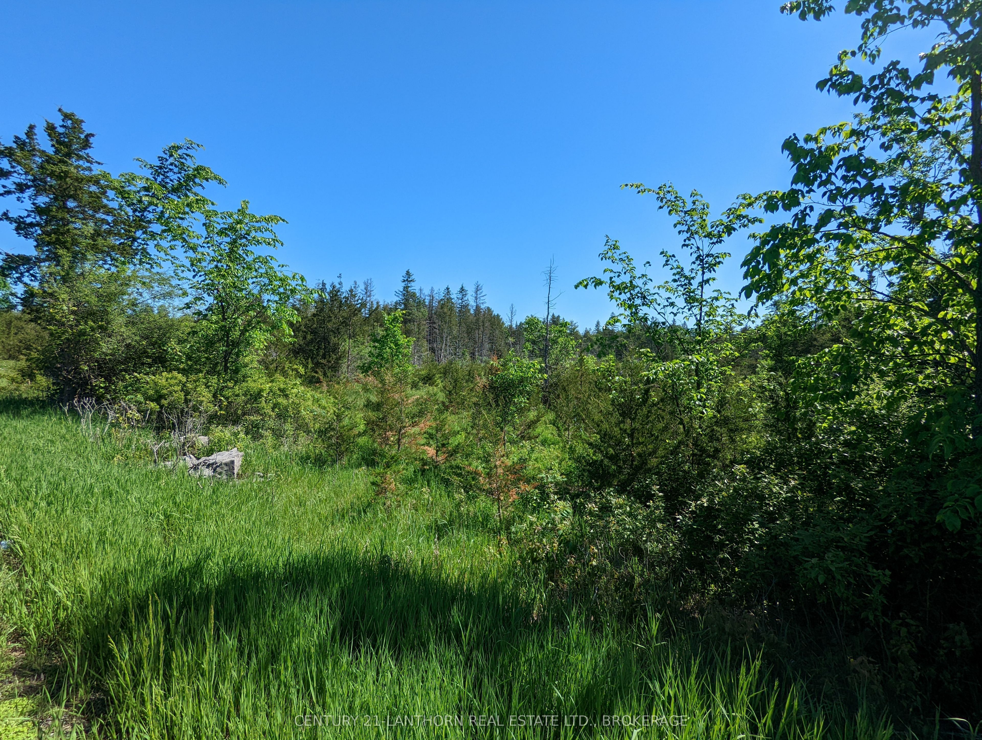 0 Pinegrove Road Property Photo 17