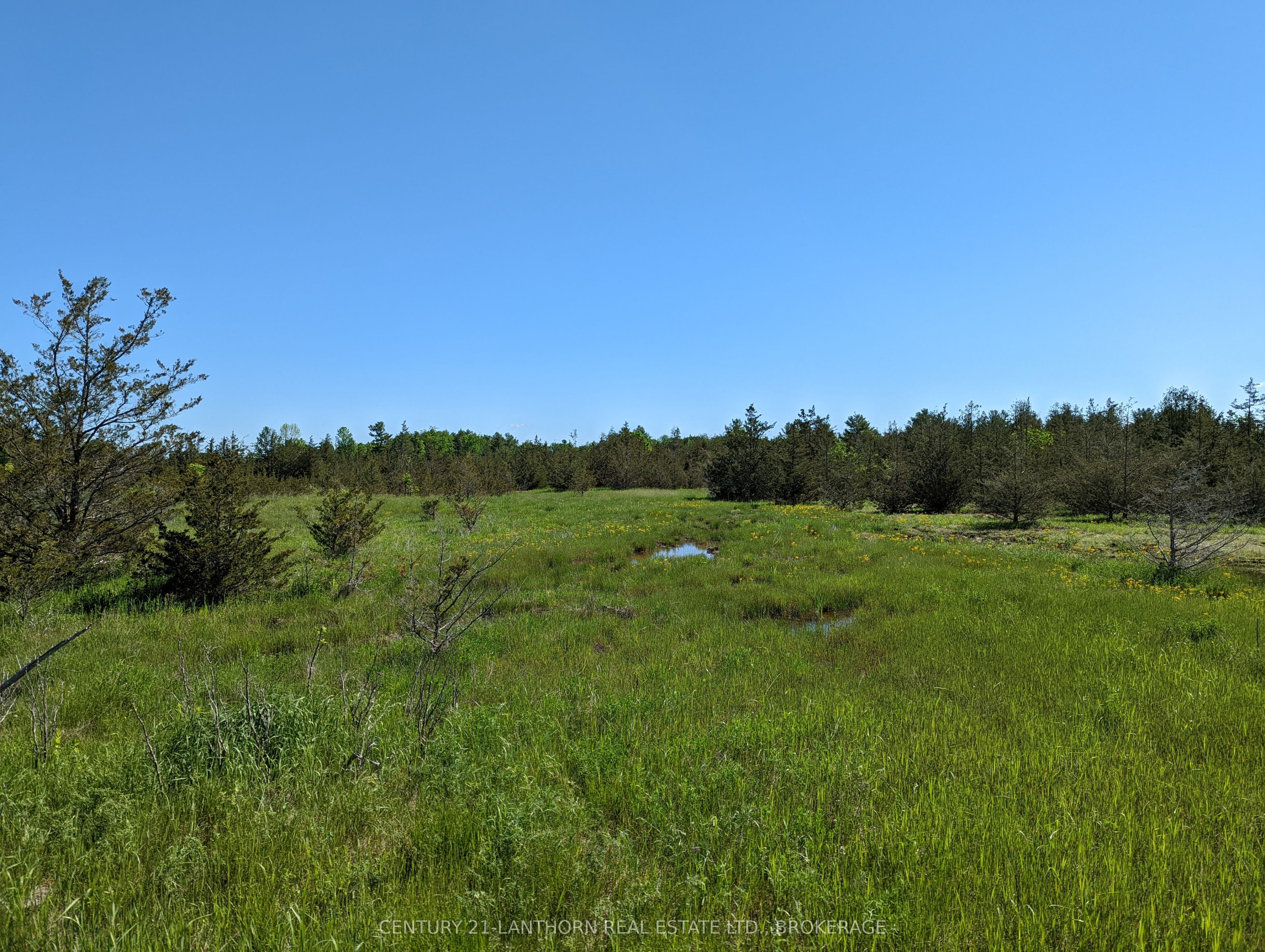 0 Pinegrove Road Property Photo 22