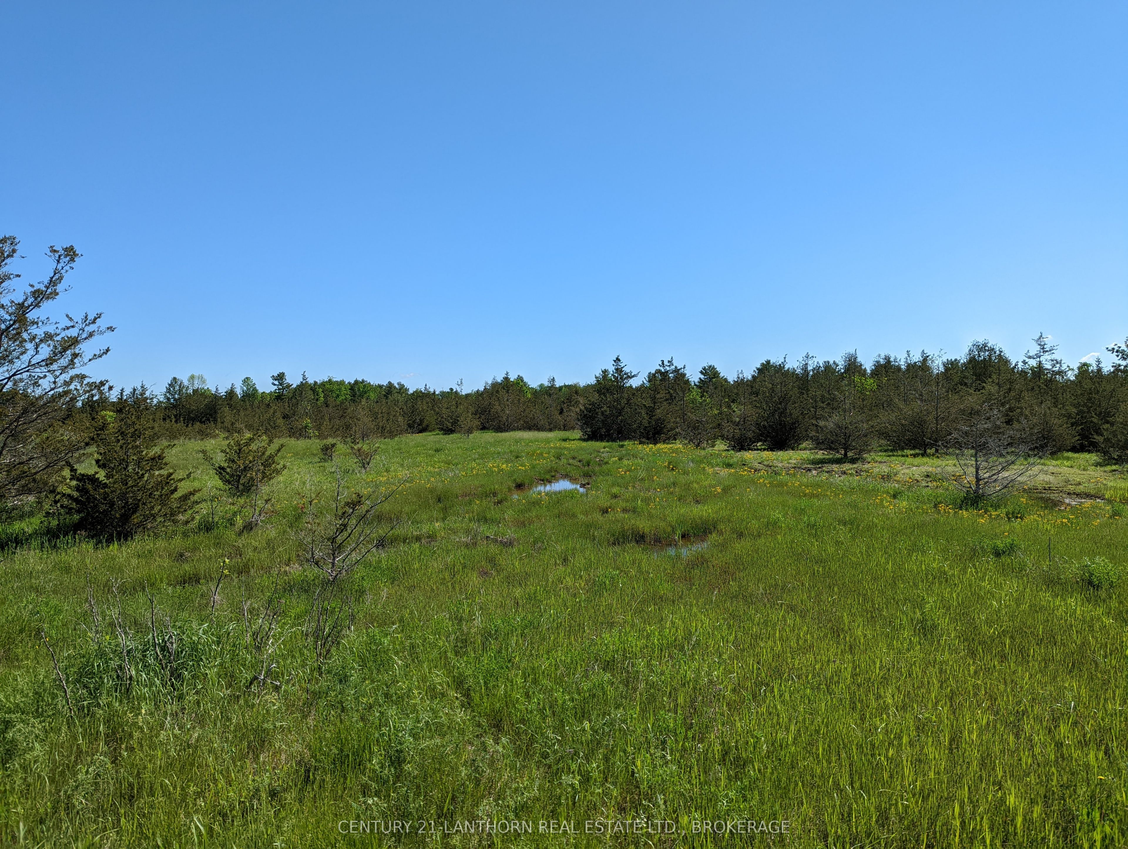 0 Pinegrove Road Property Photo 23