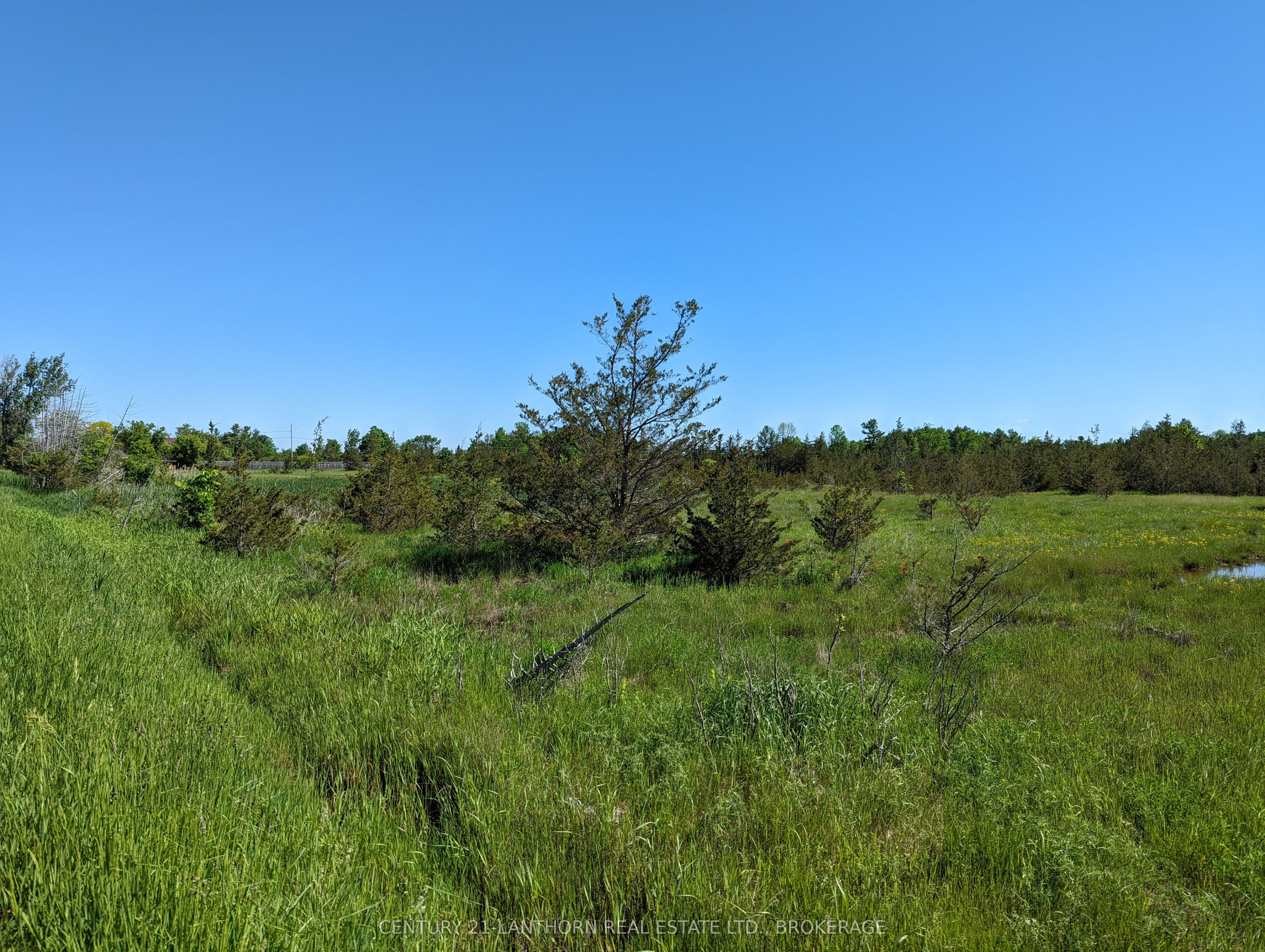 0 Pinegrove Road Property Photo 24