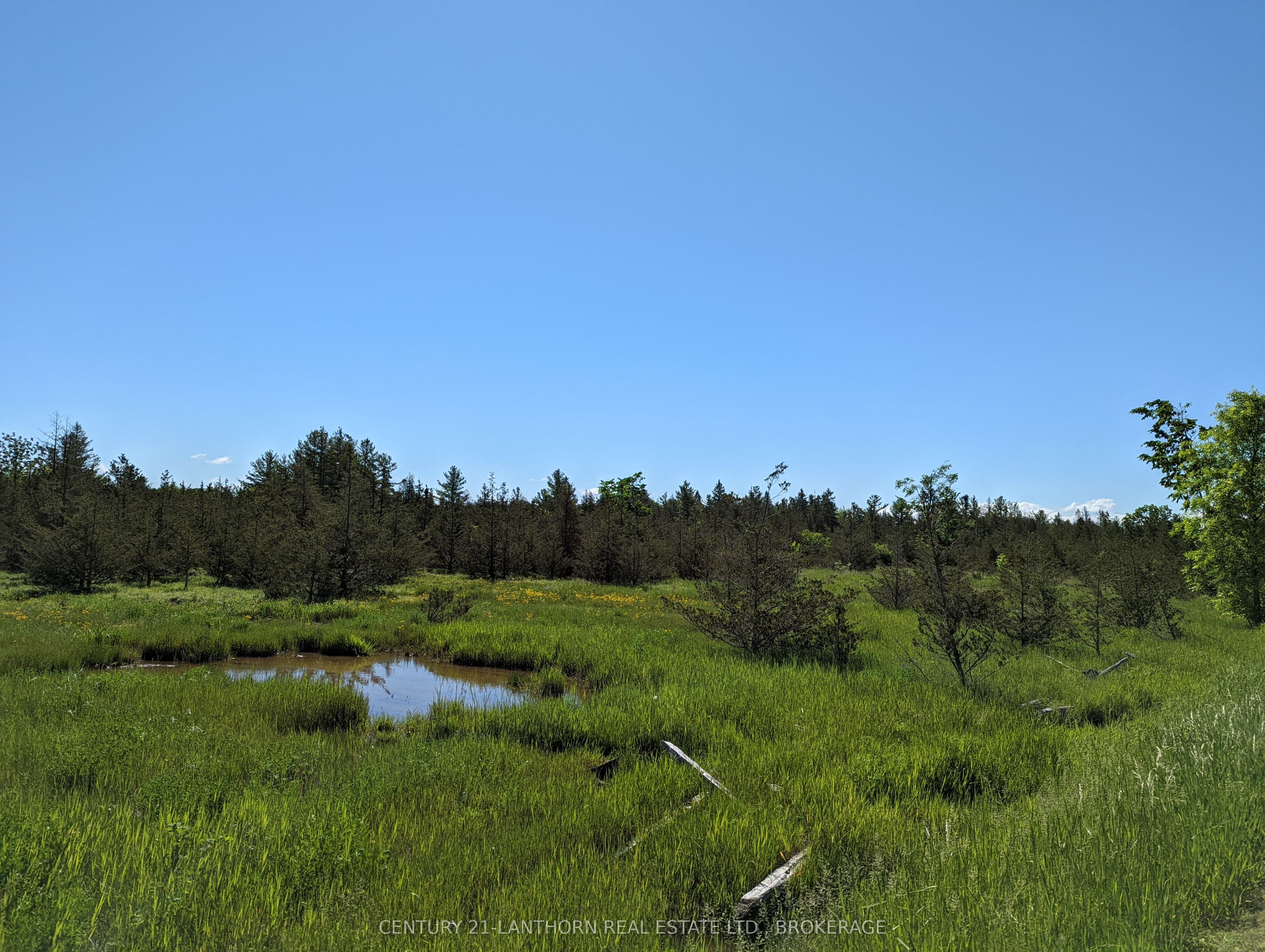0 Pinegrove Road Property Photo 25