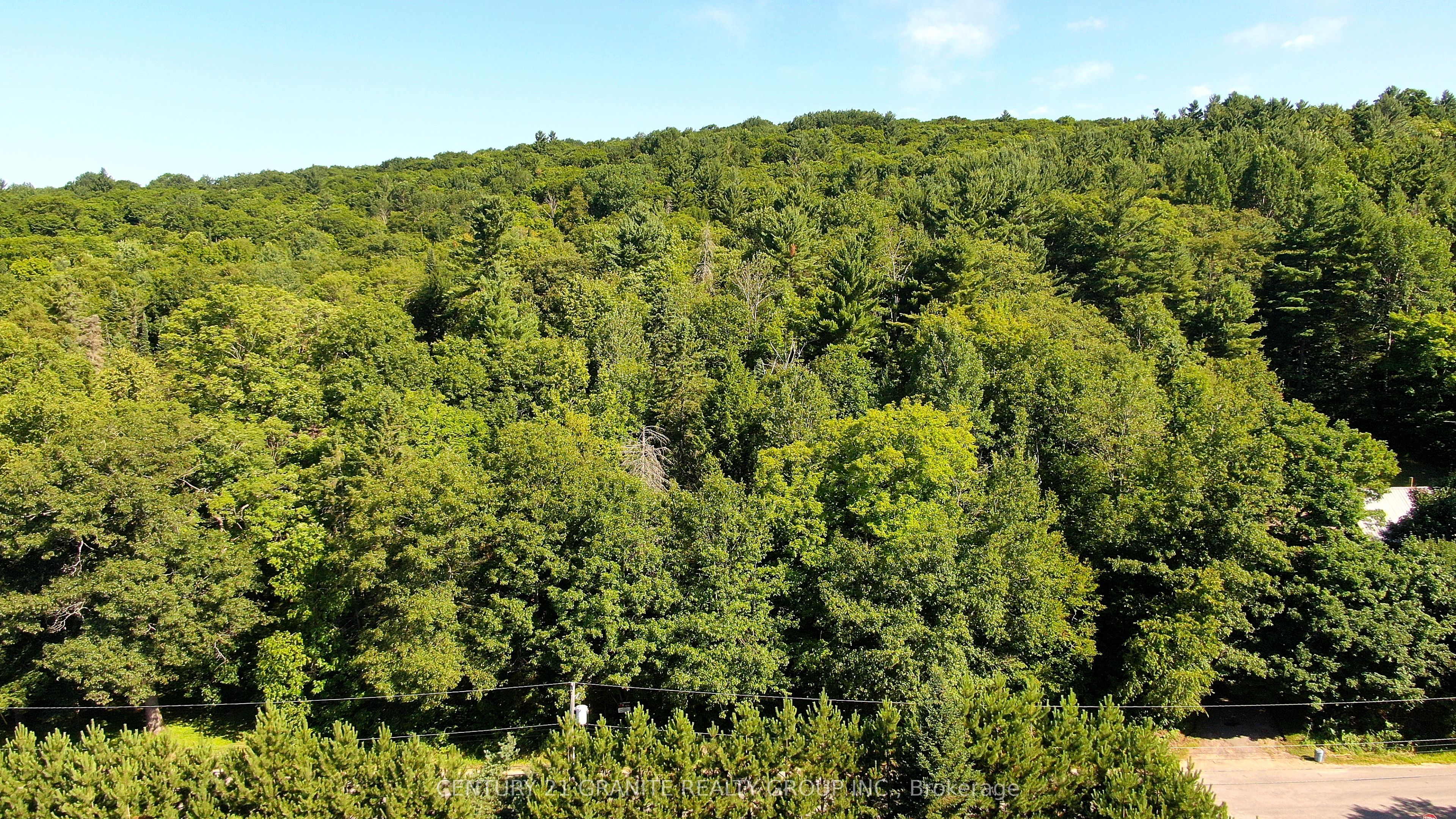 0 Maxwell Settlement Road Property Photo 9