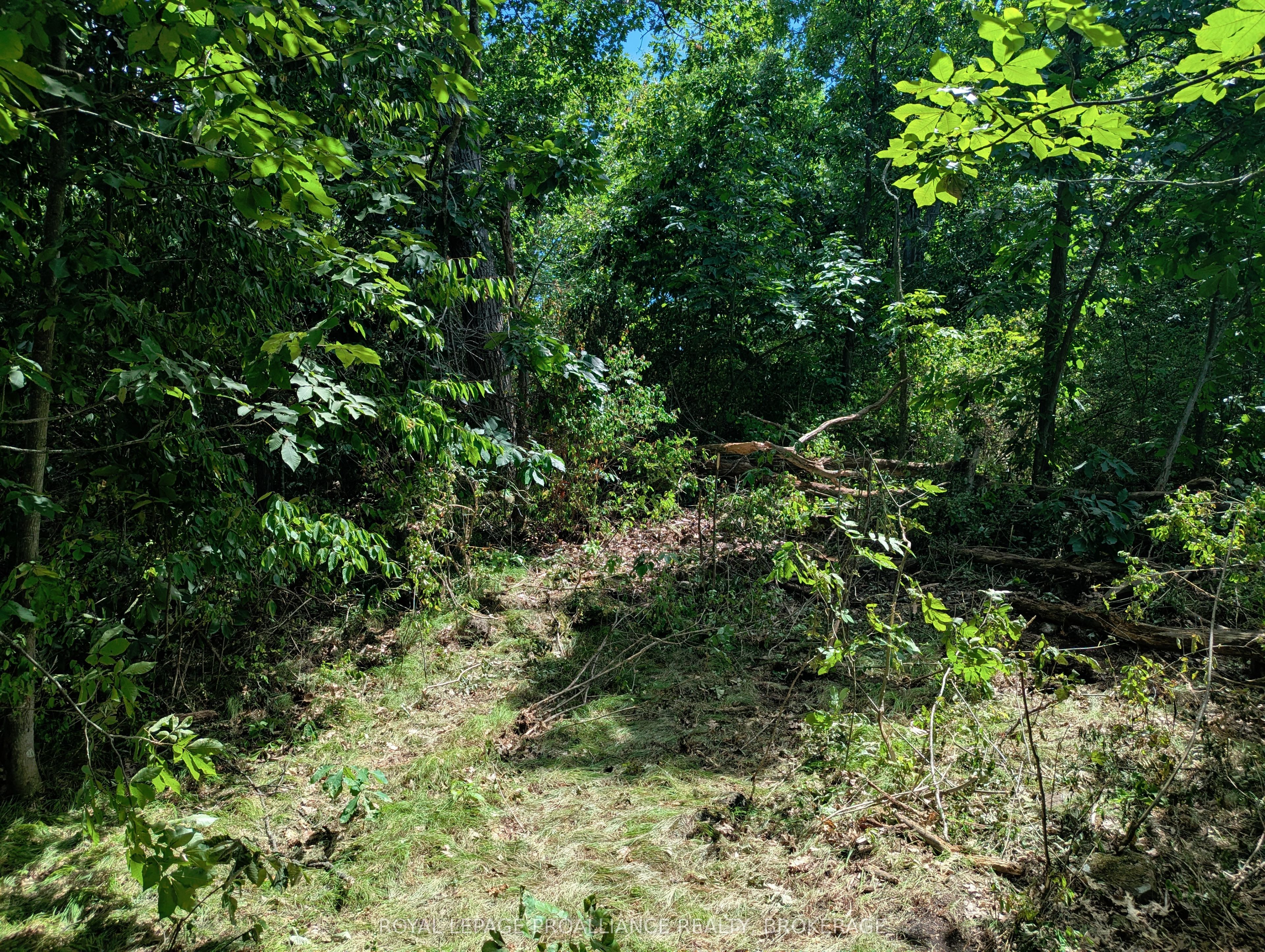 2620 4th Concession Road Property Photo 3