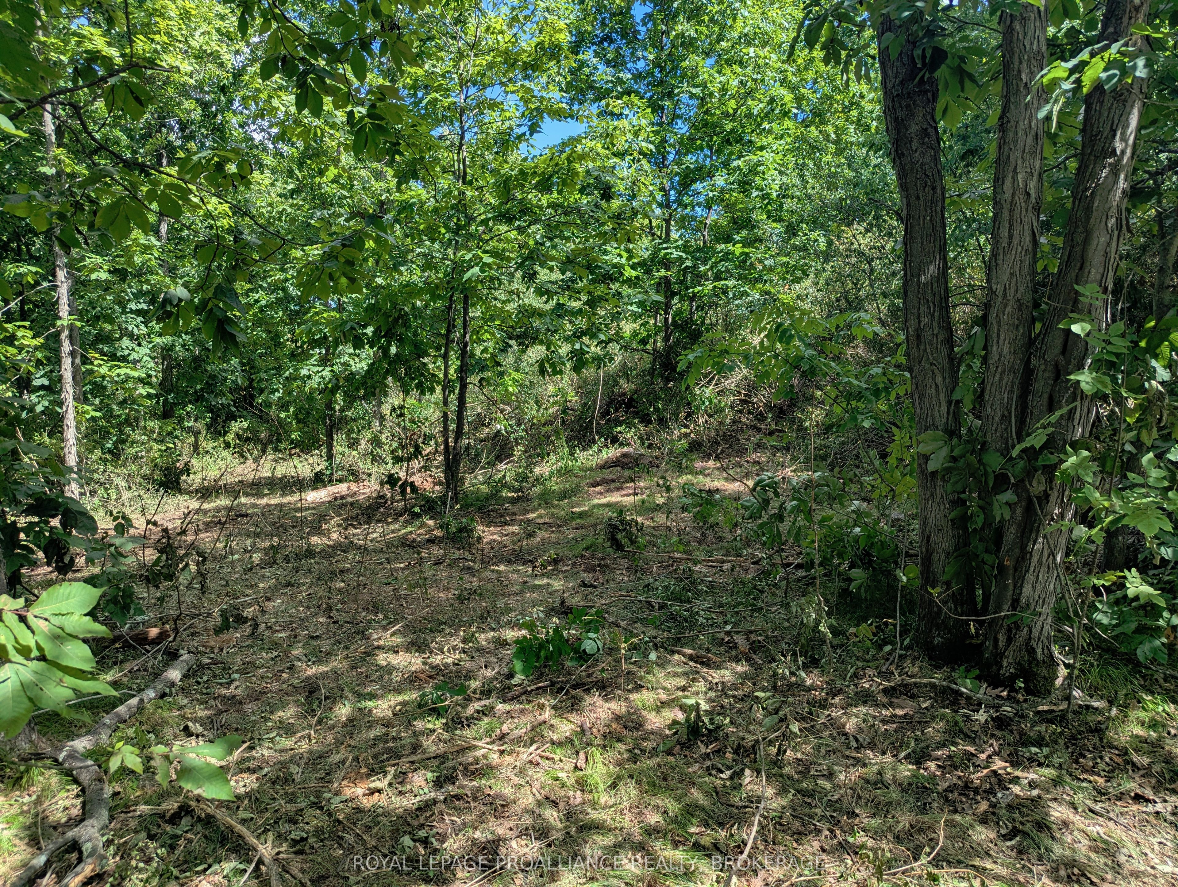 2620 4th Concession Road Property Photo 4