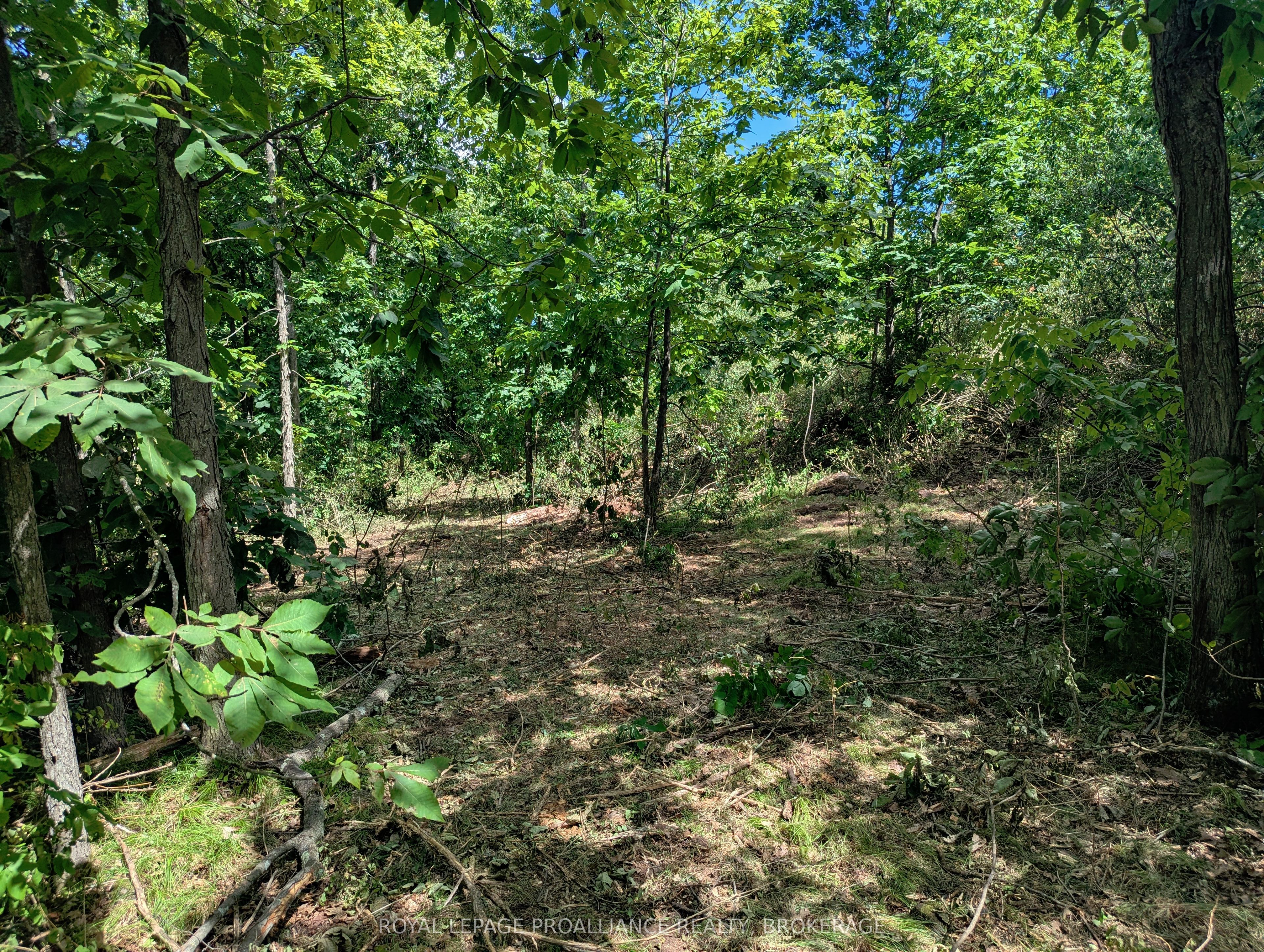 2620 4th Concession Road Property Photo 5