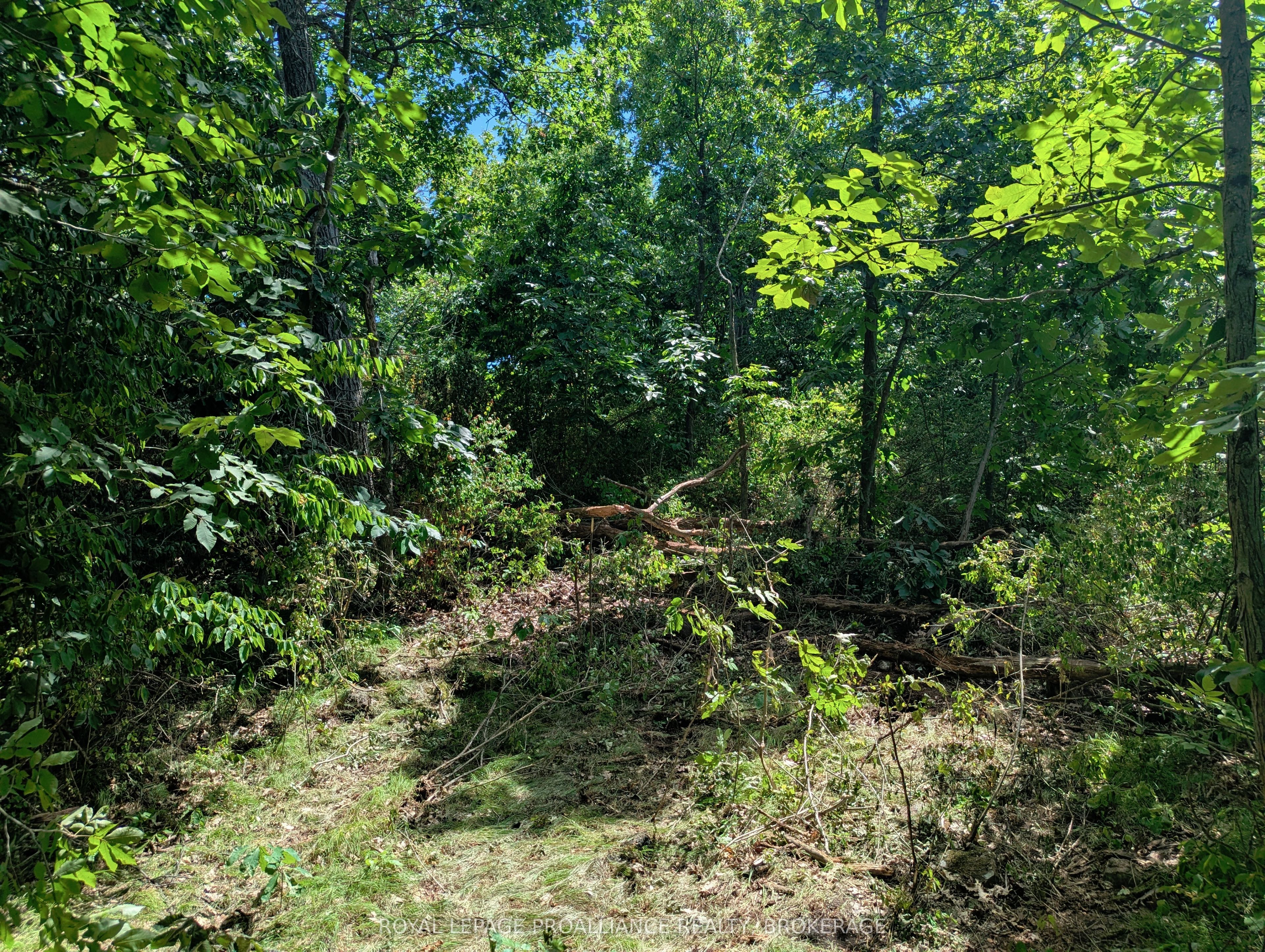 2620 4th Concession Road Property Photo 6