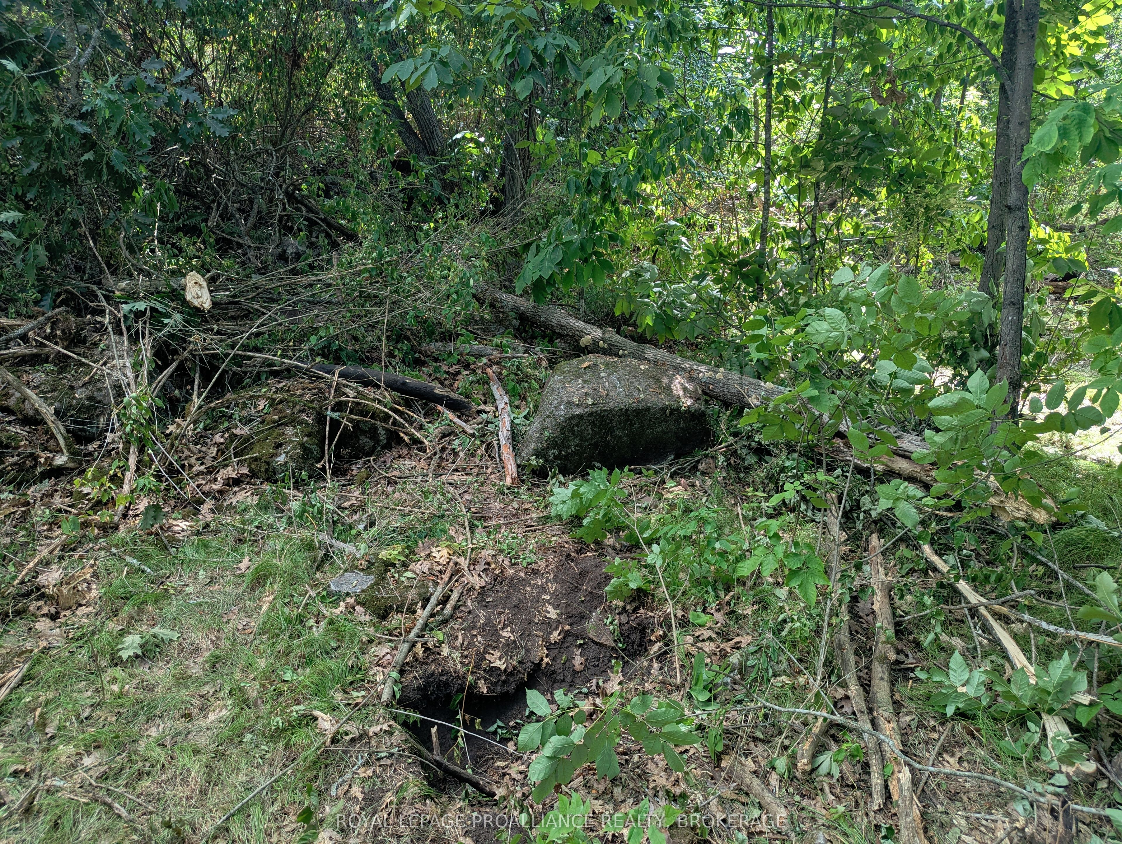 2620 4th Concession Road Property Photo 7