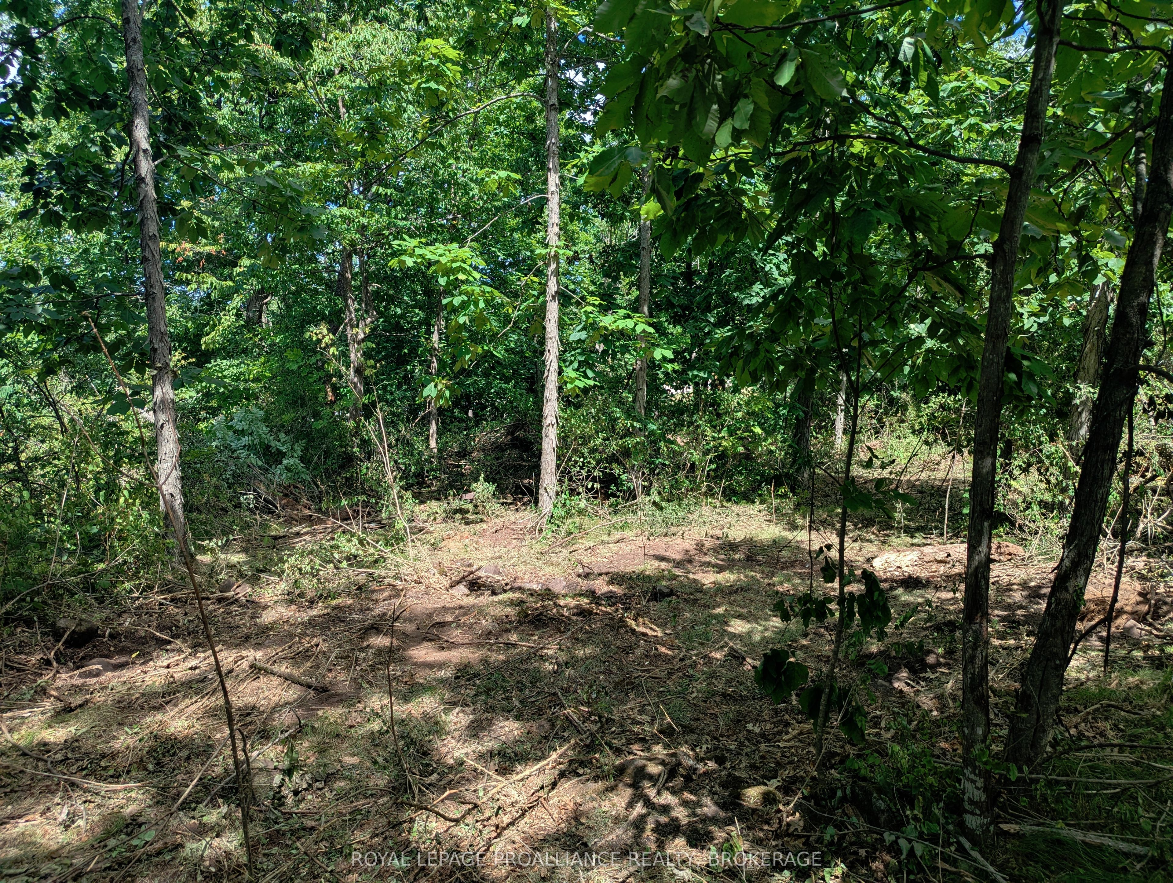 2620 4th Concession Road Property Photo 8