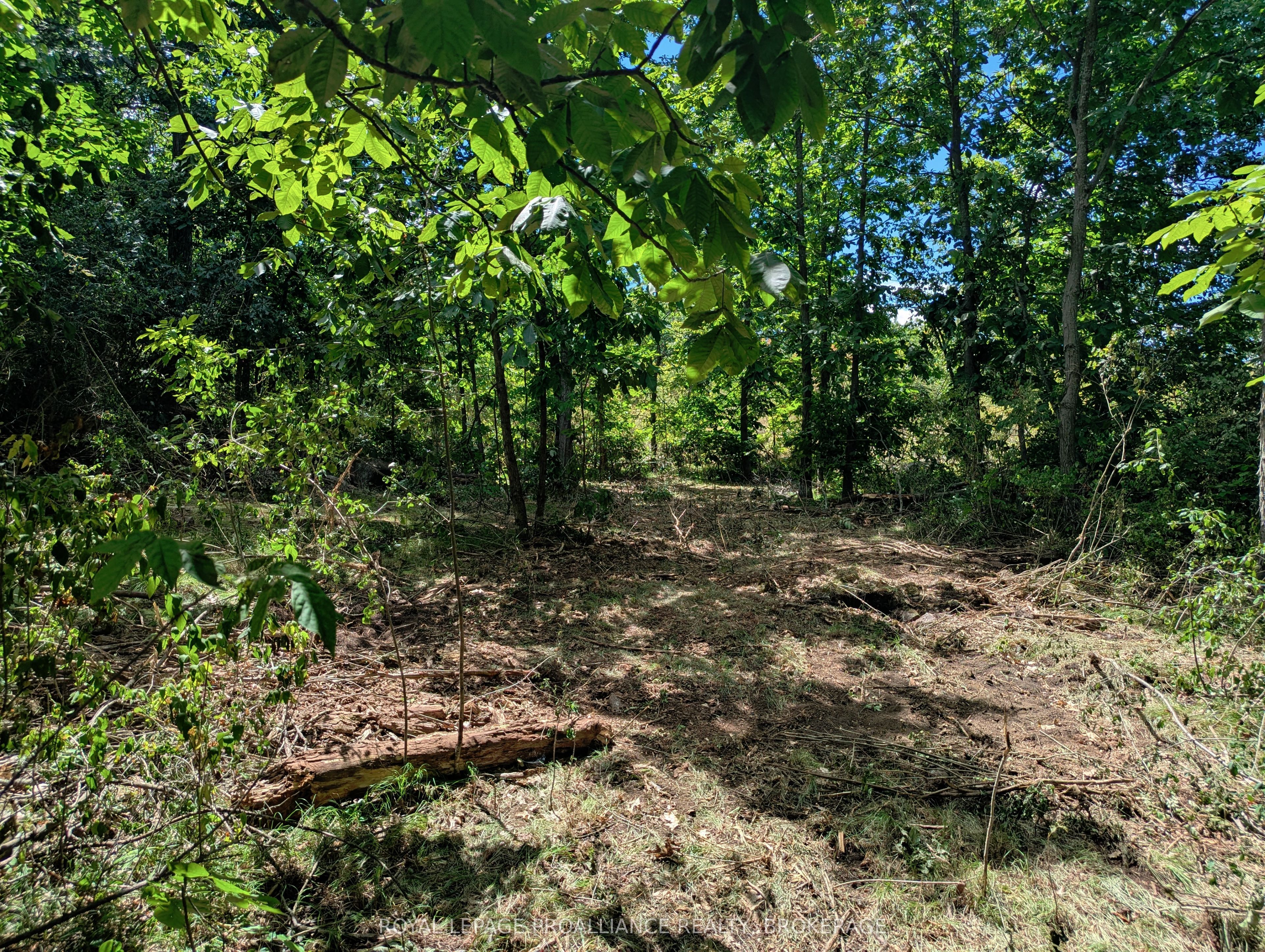 2620 4th Concession Road Property Photo 10
