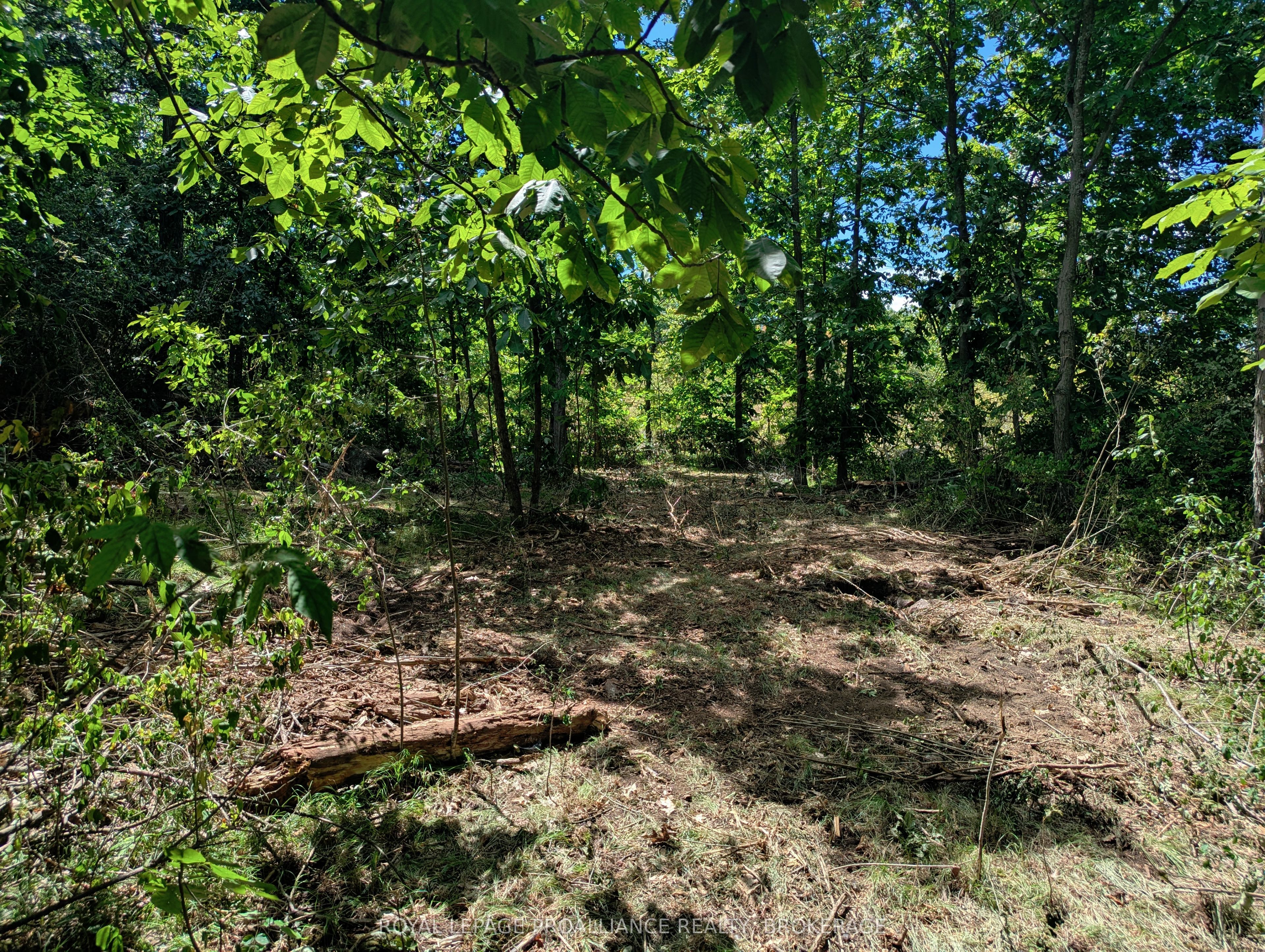 2620 4th Concession Road Property Photo 11