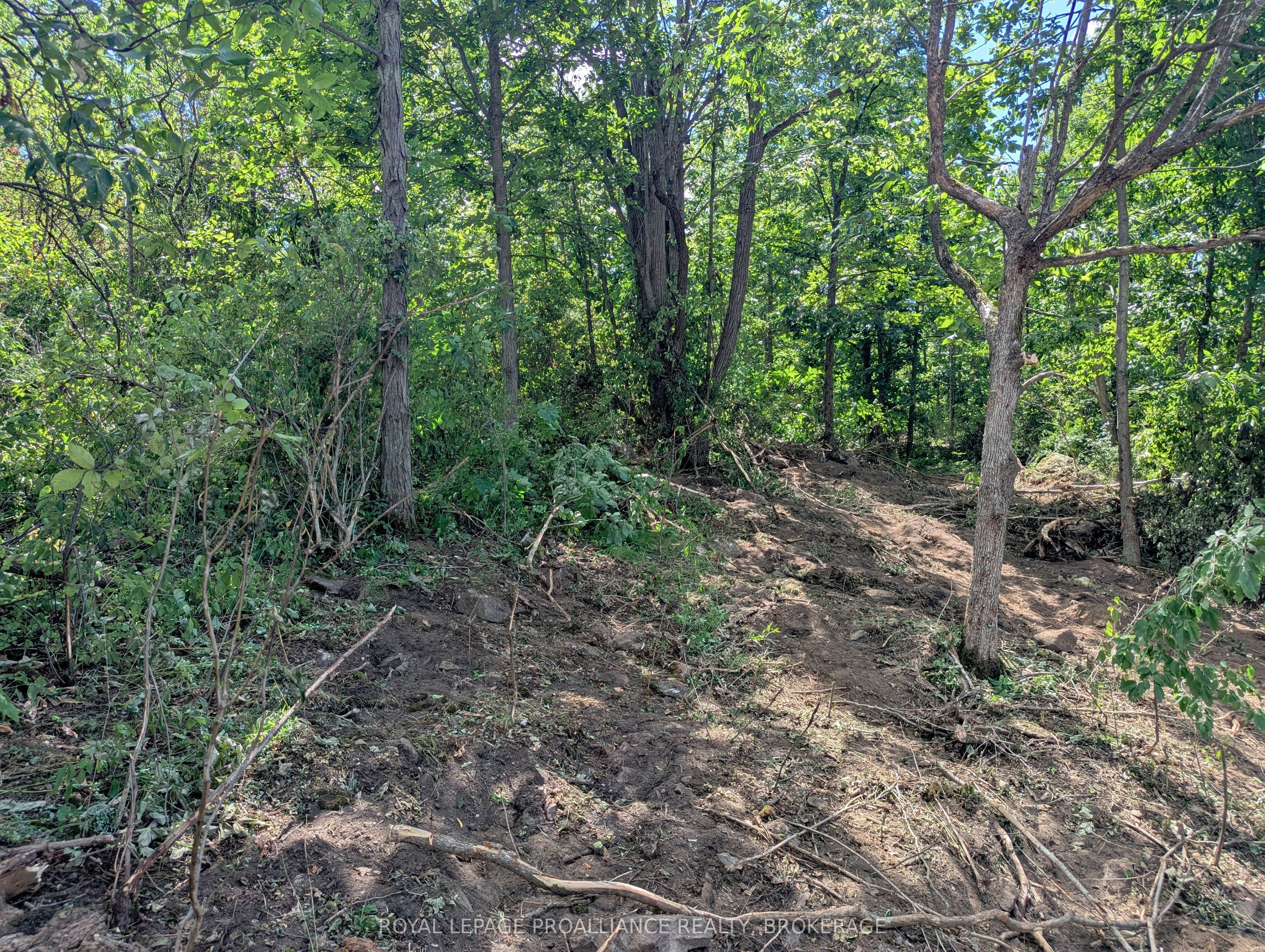 2620 4th Concession Road Property Photo 13
