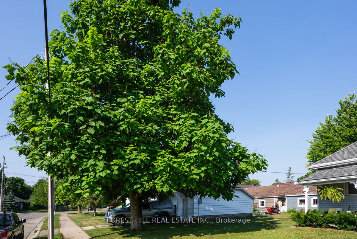 610 Tamarac Street Property Photo 9