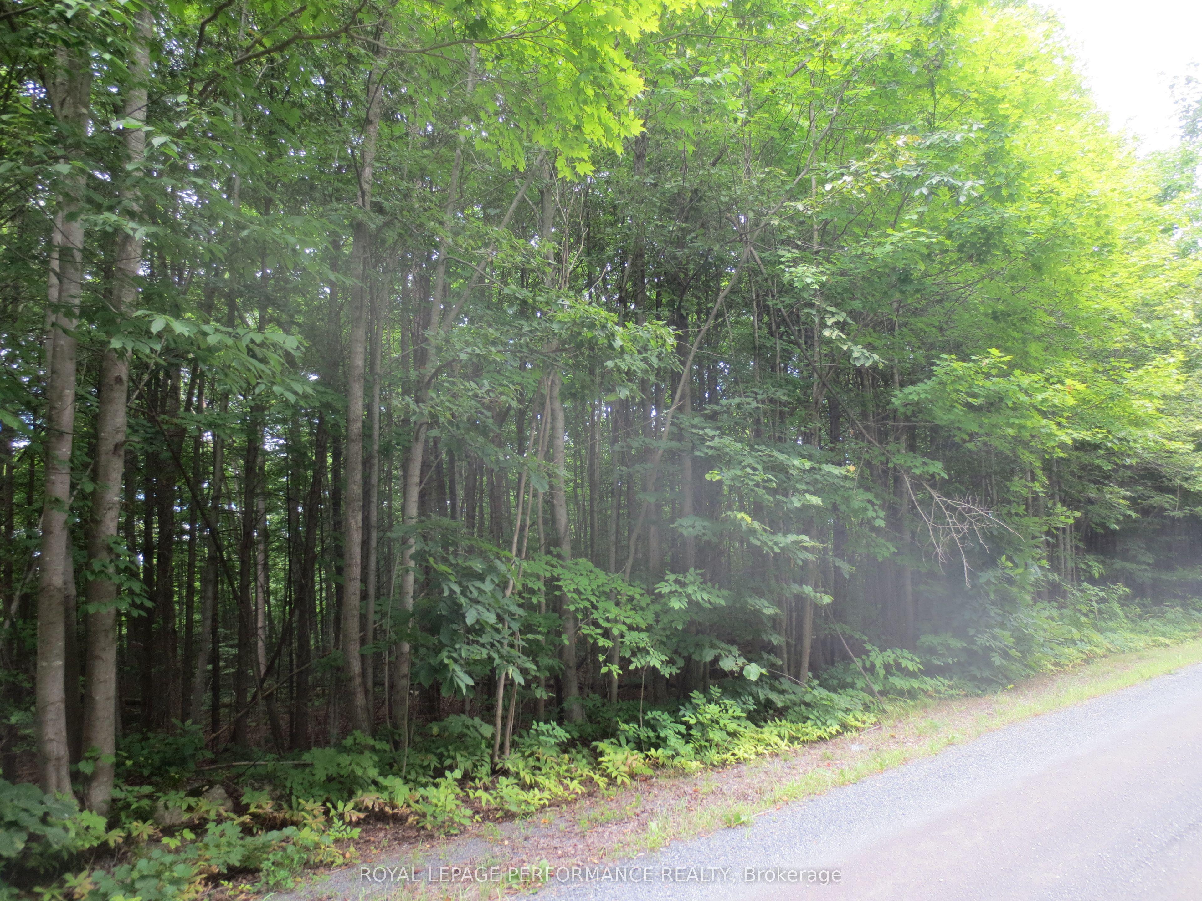 21625 Concession Rd 10 Road Property Photo 13