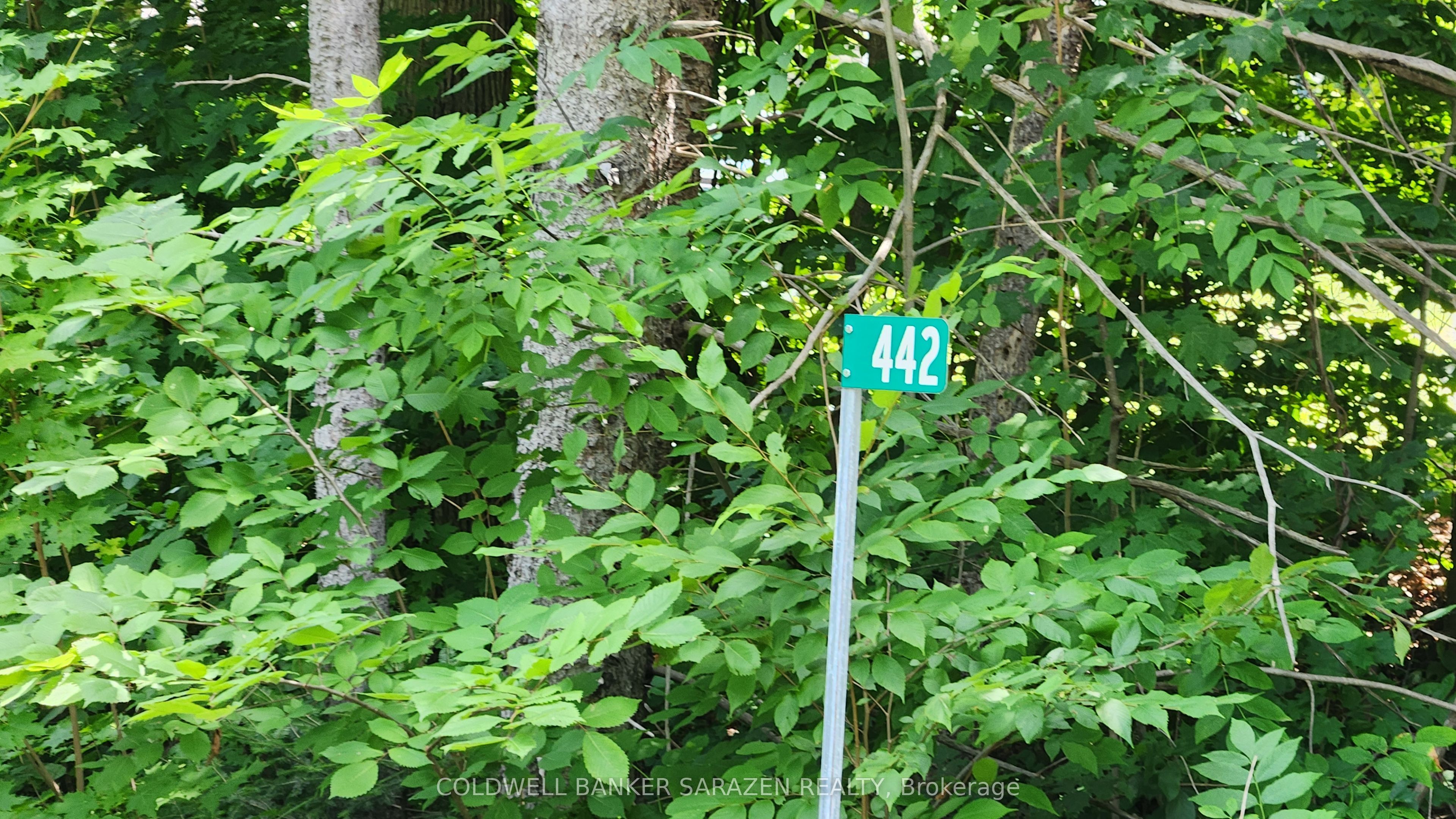 442 Campbell Drive Property Photo 2