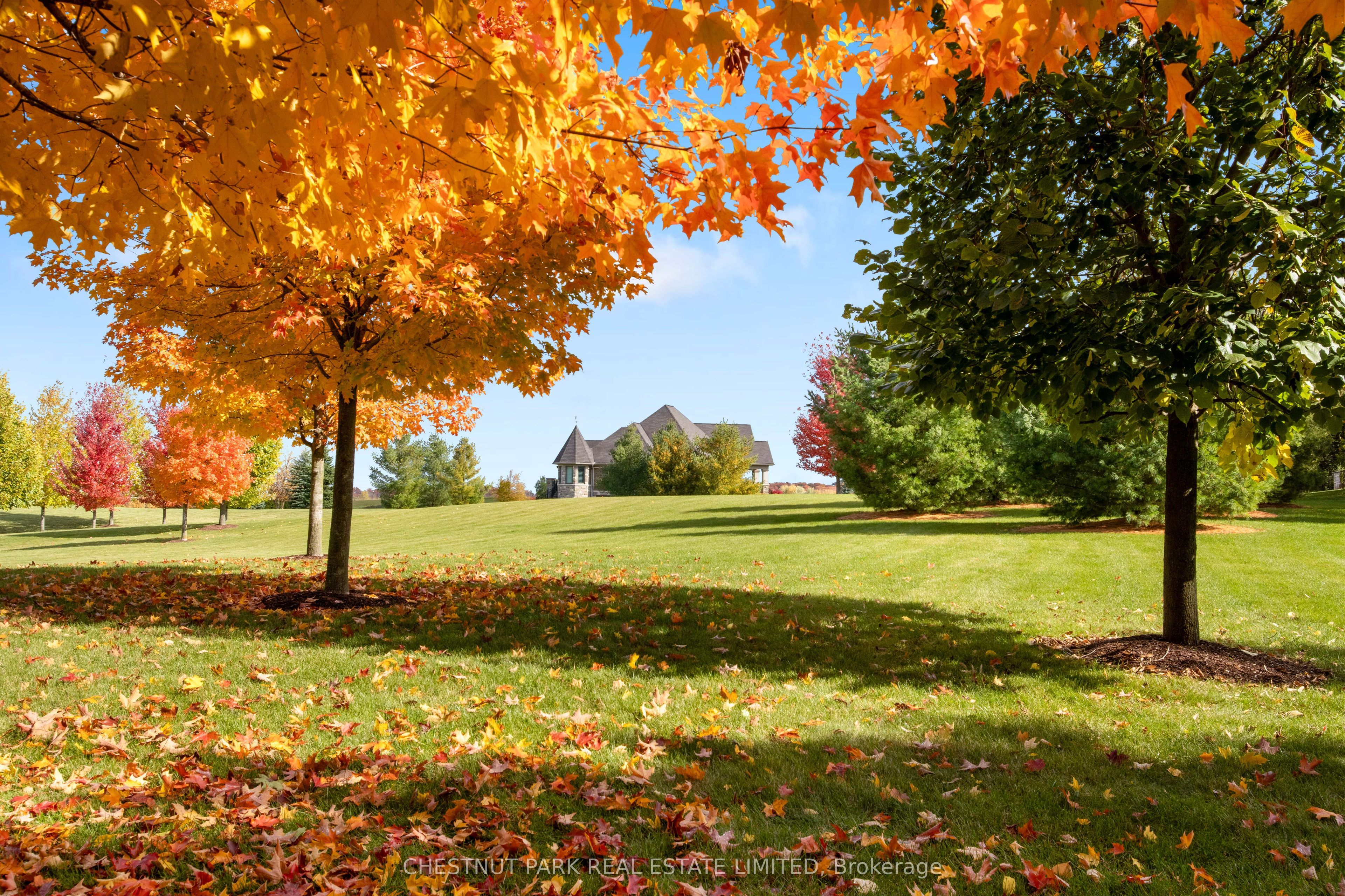 46 Anita Drive Property Photo 4