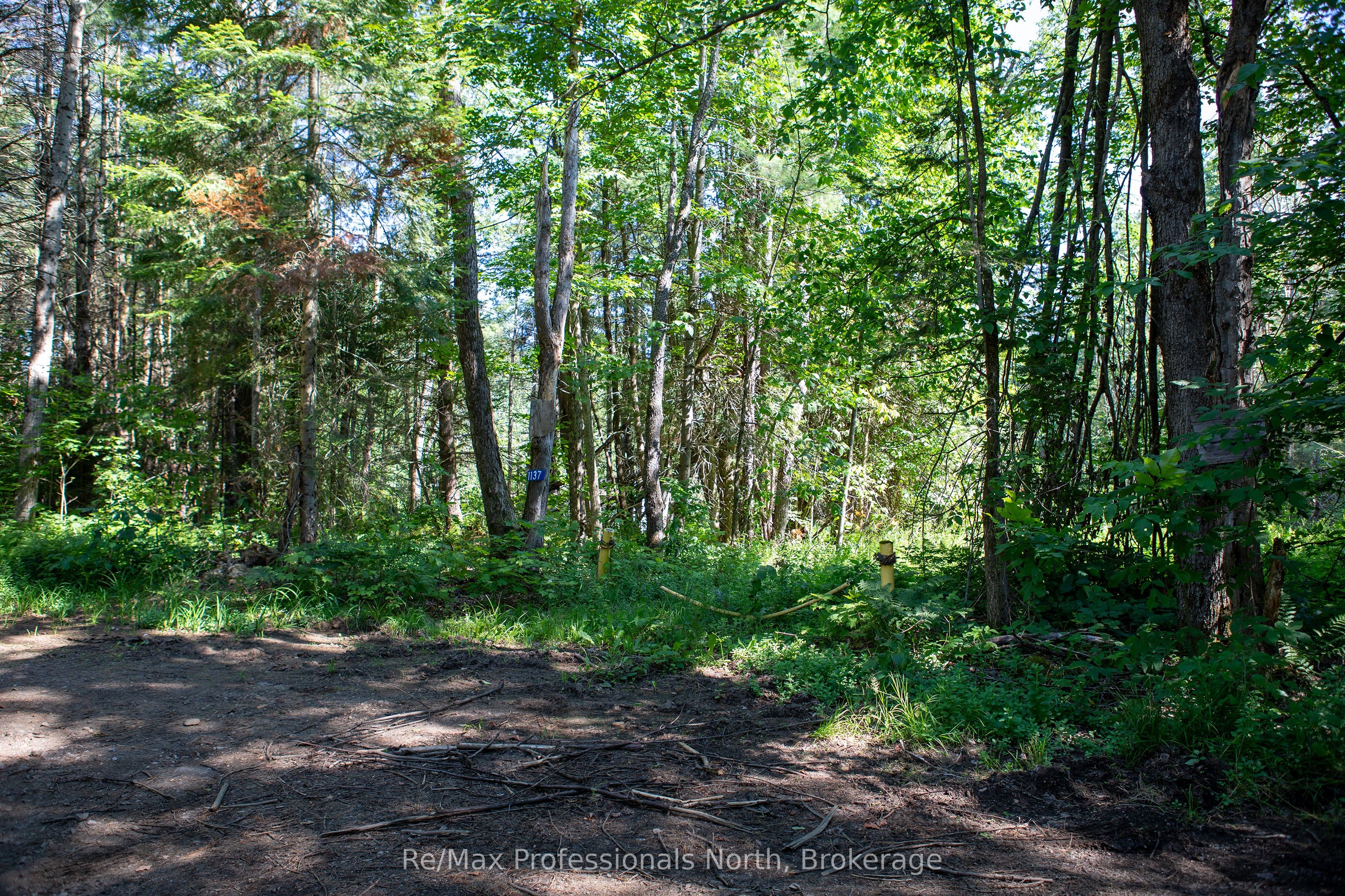 1137 Blackmore Road Property Photo 1