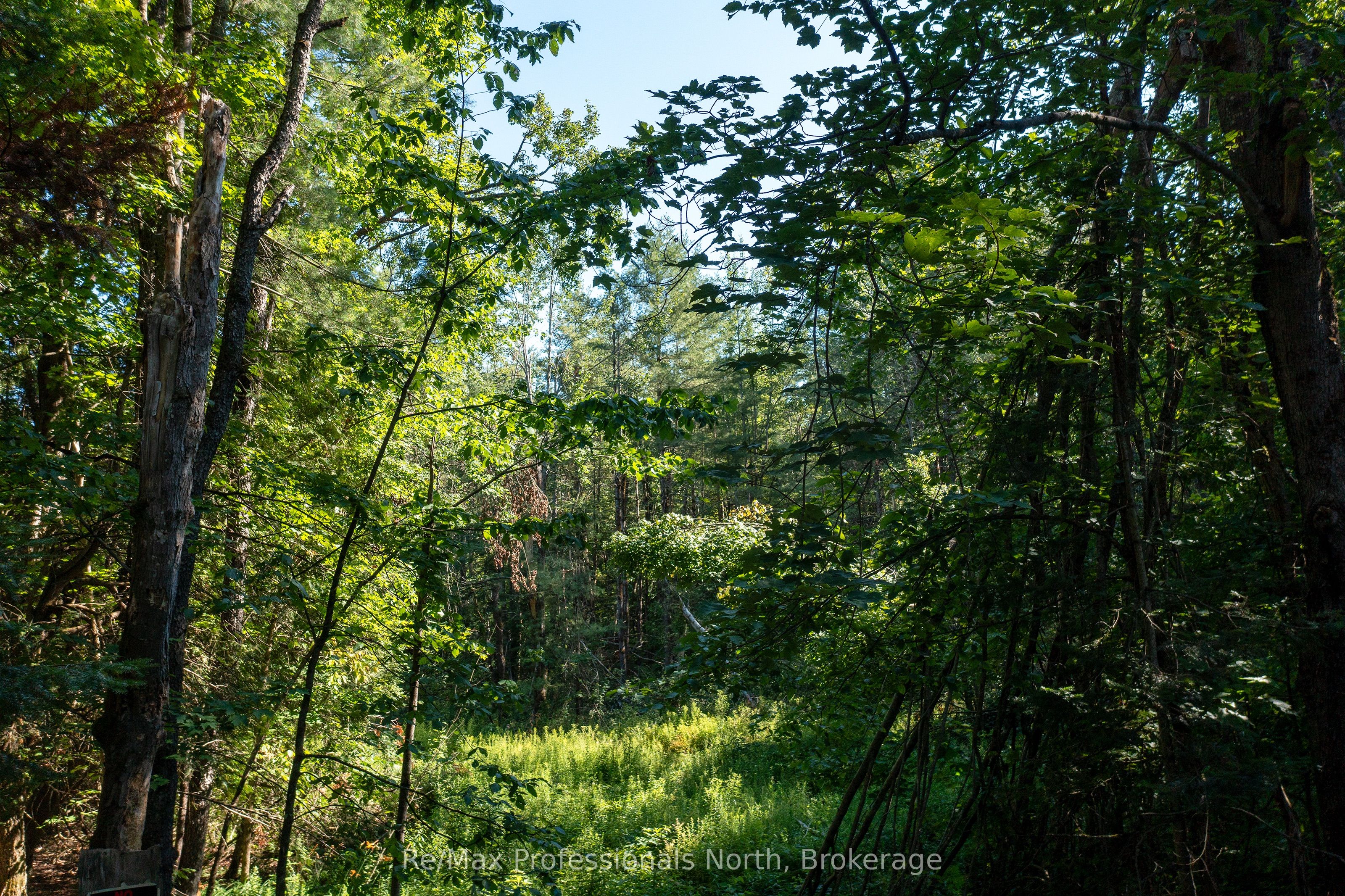 1137 Blackmore Road Property Photo 2
