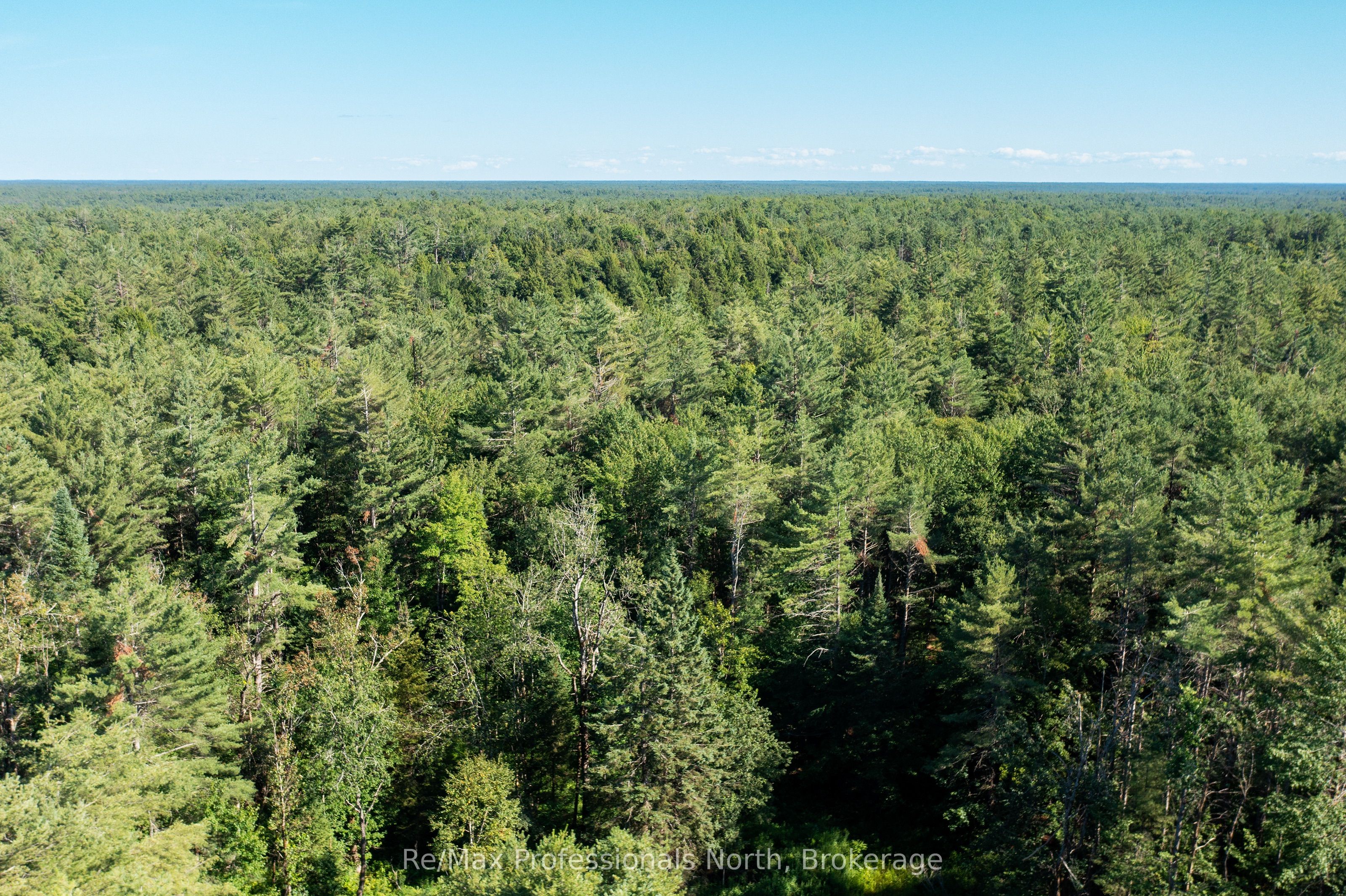 1137 Blackmore Road Property Photo 4