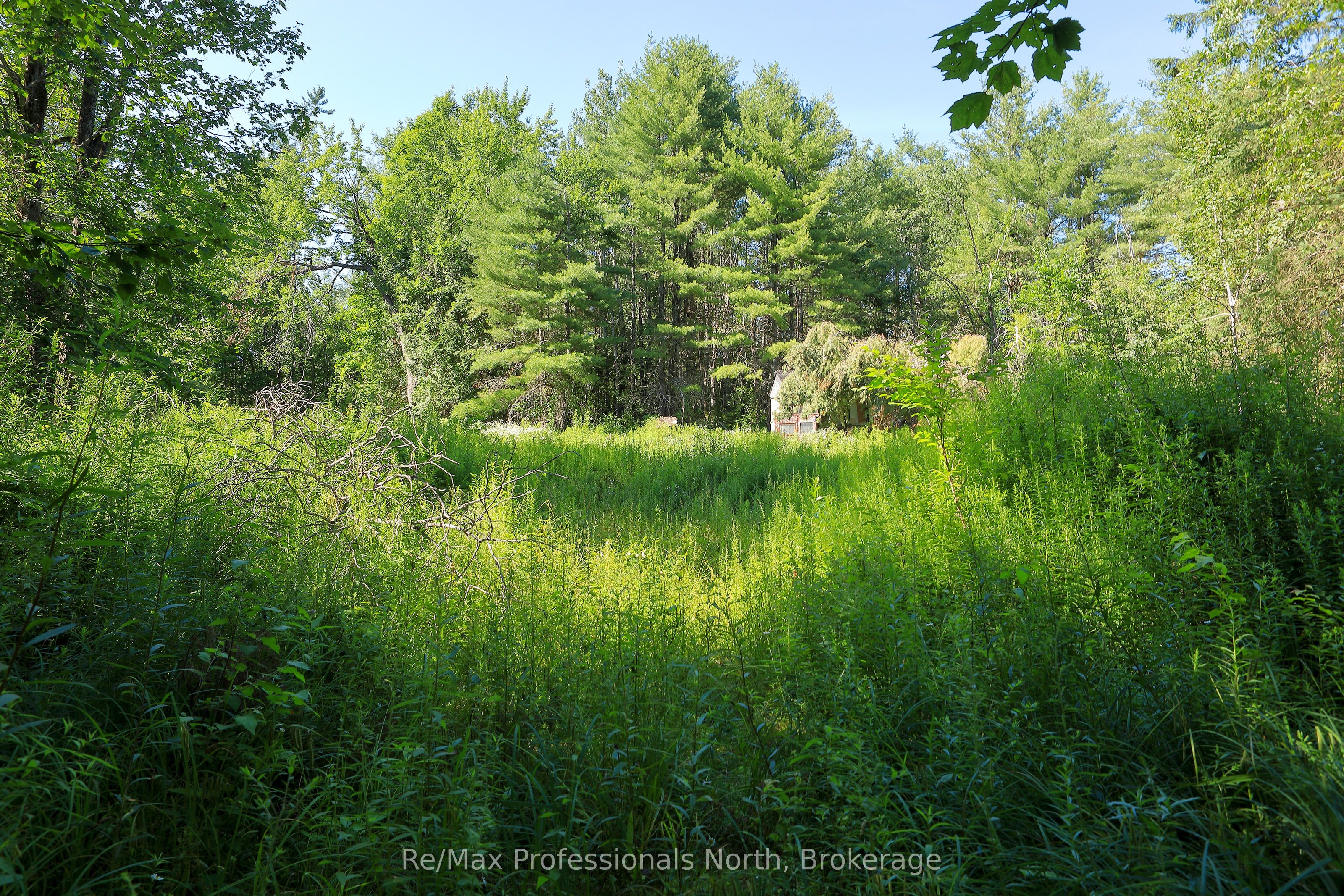 1137 Blackmore Road Property Photo 6