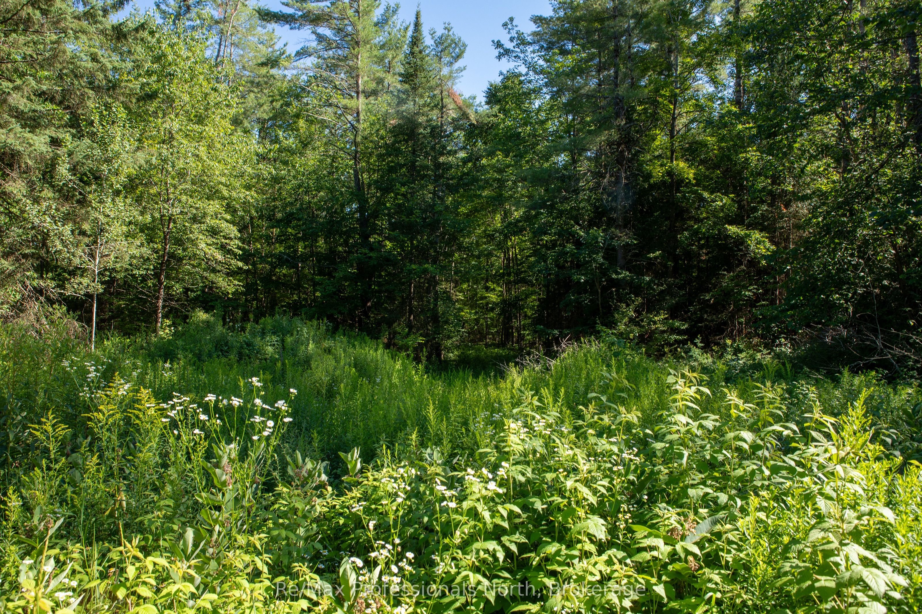 1137 Blackmore Road Property Photo 7