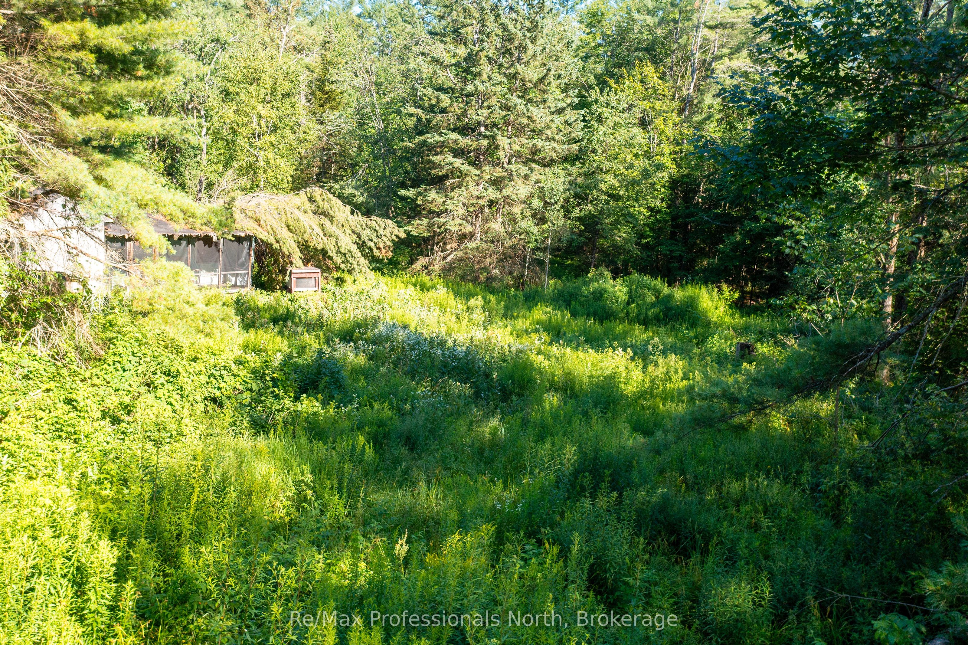 1137 Blackmore Road Property Photo 8