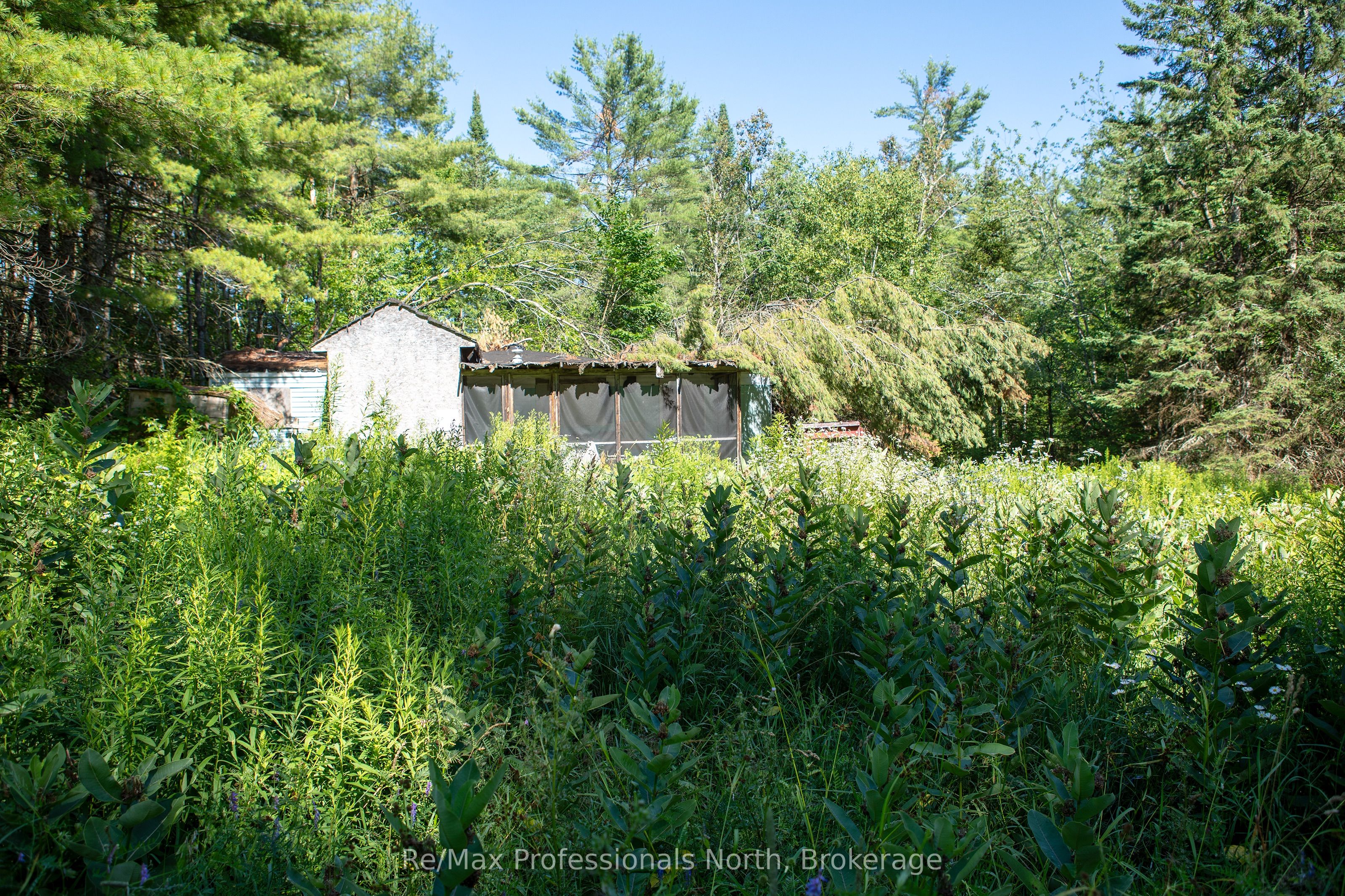1137 Blackmore Road Property Photo 9