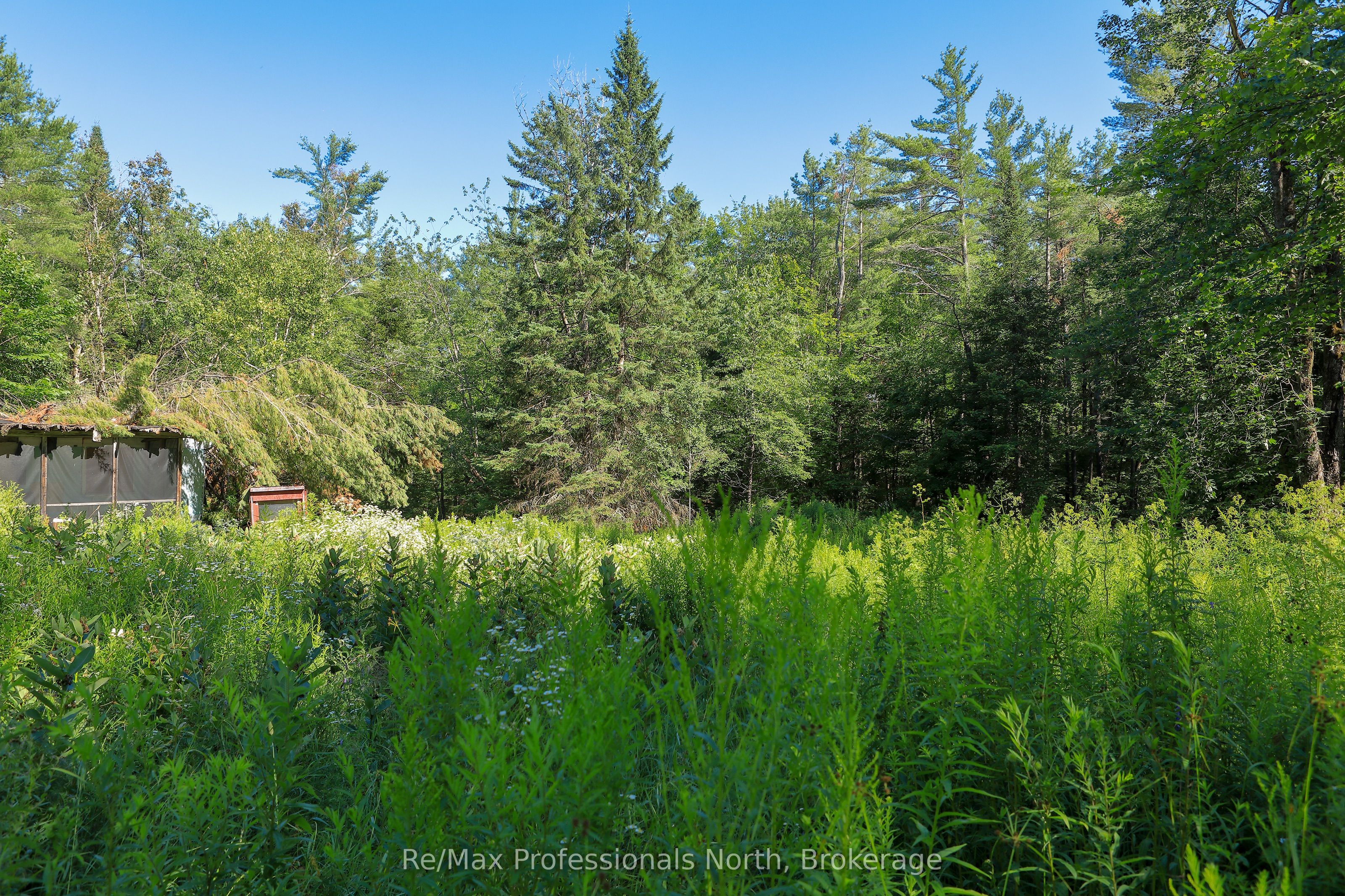 1137 Blackmore Road Property Photo 10