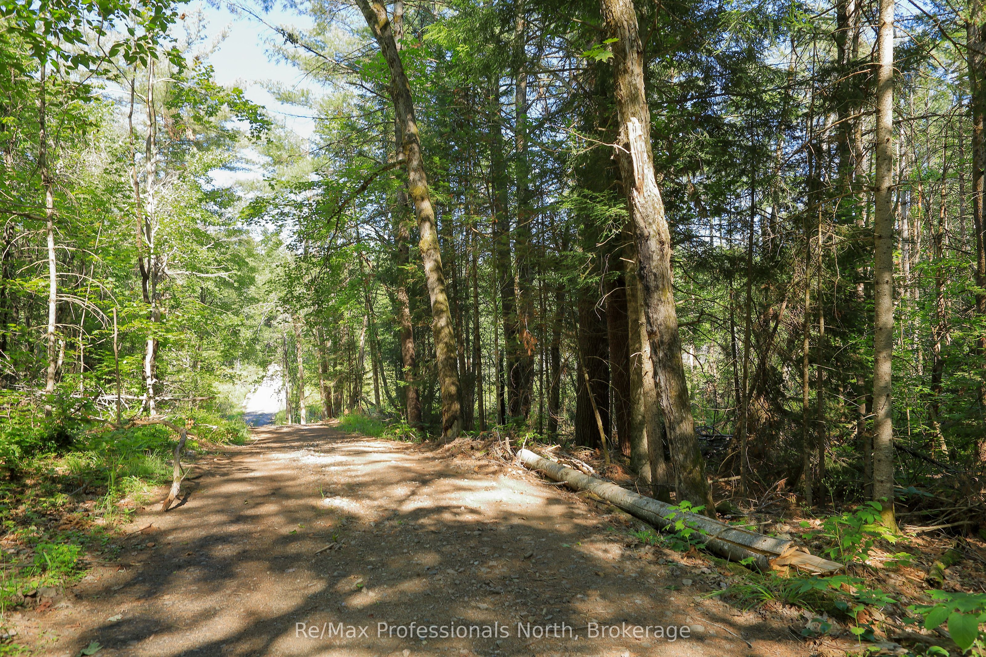 1137 Blackmore Road Property Photo 11