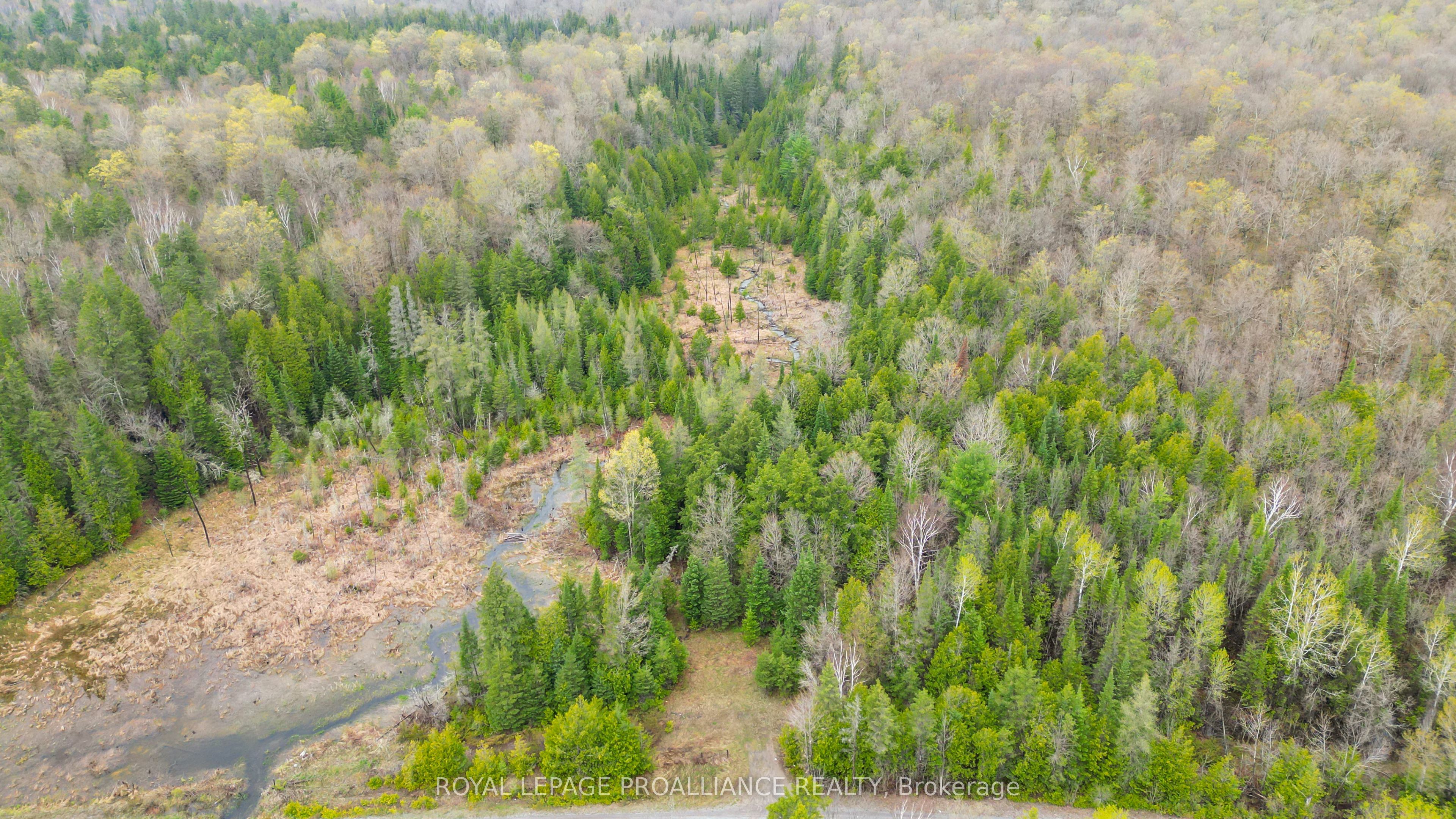 0 Spry Settlement Road Property Photo 2