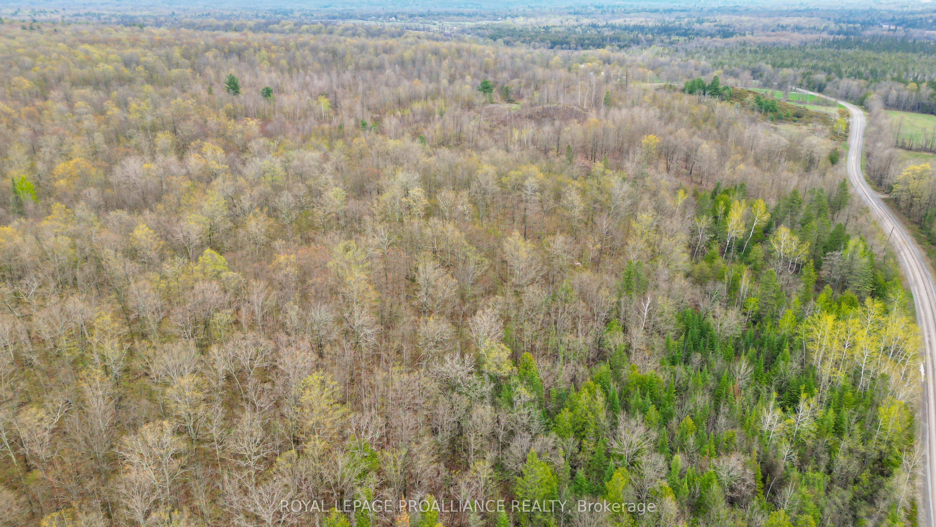 0 Spry Settlement Road Property Photo 3