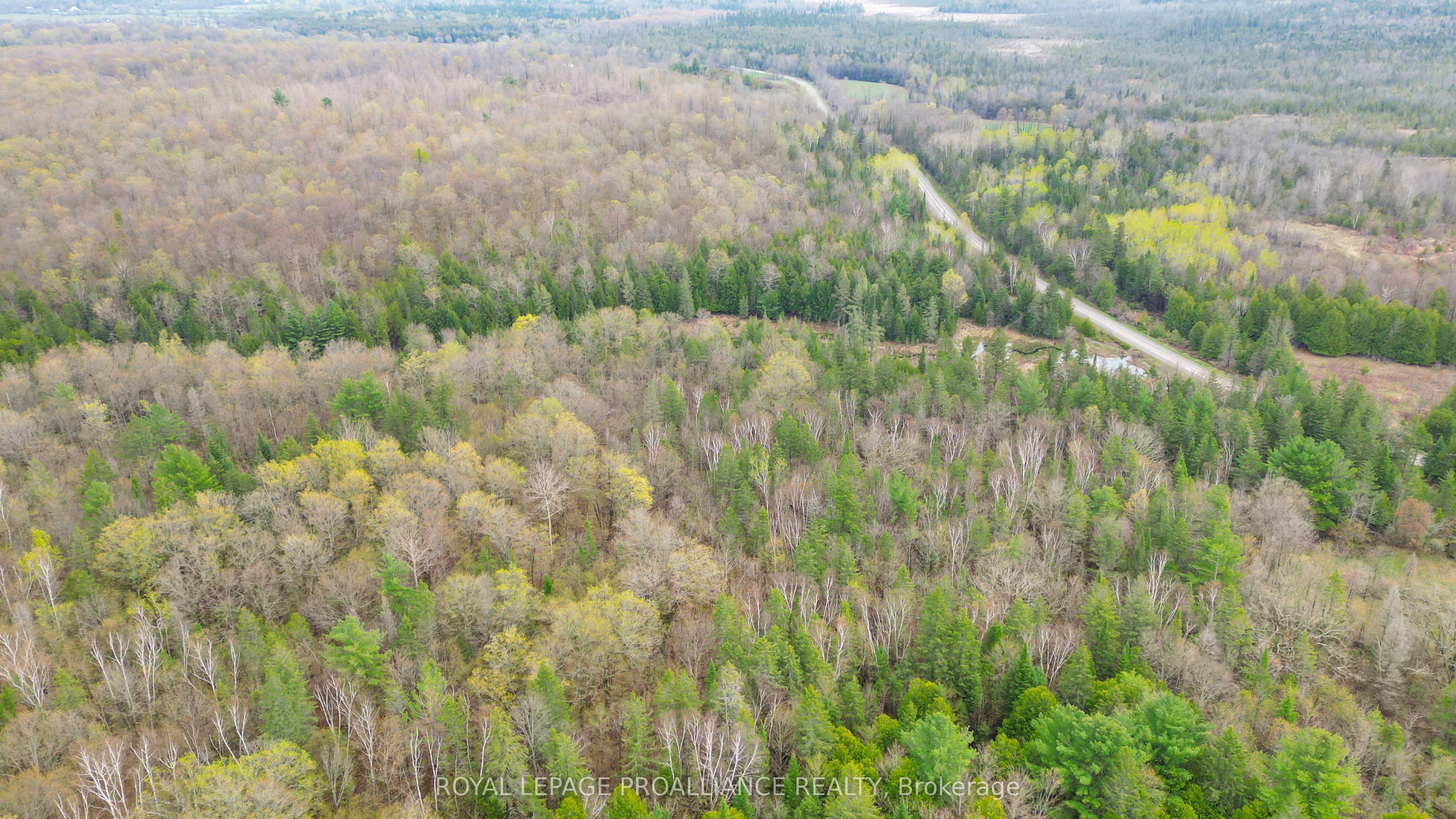 0 Spry Settlement Road Property Photo 5