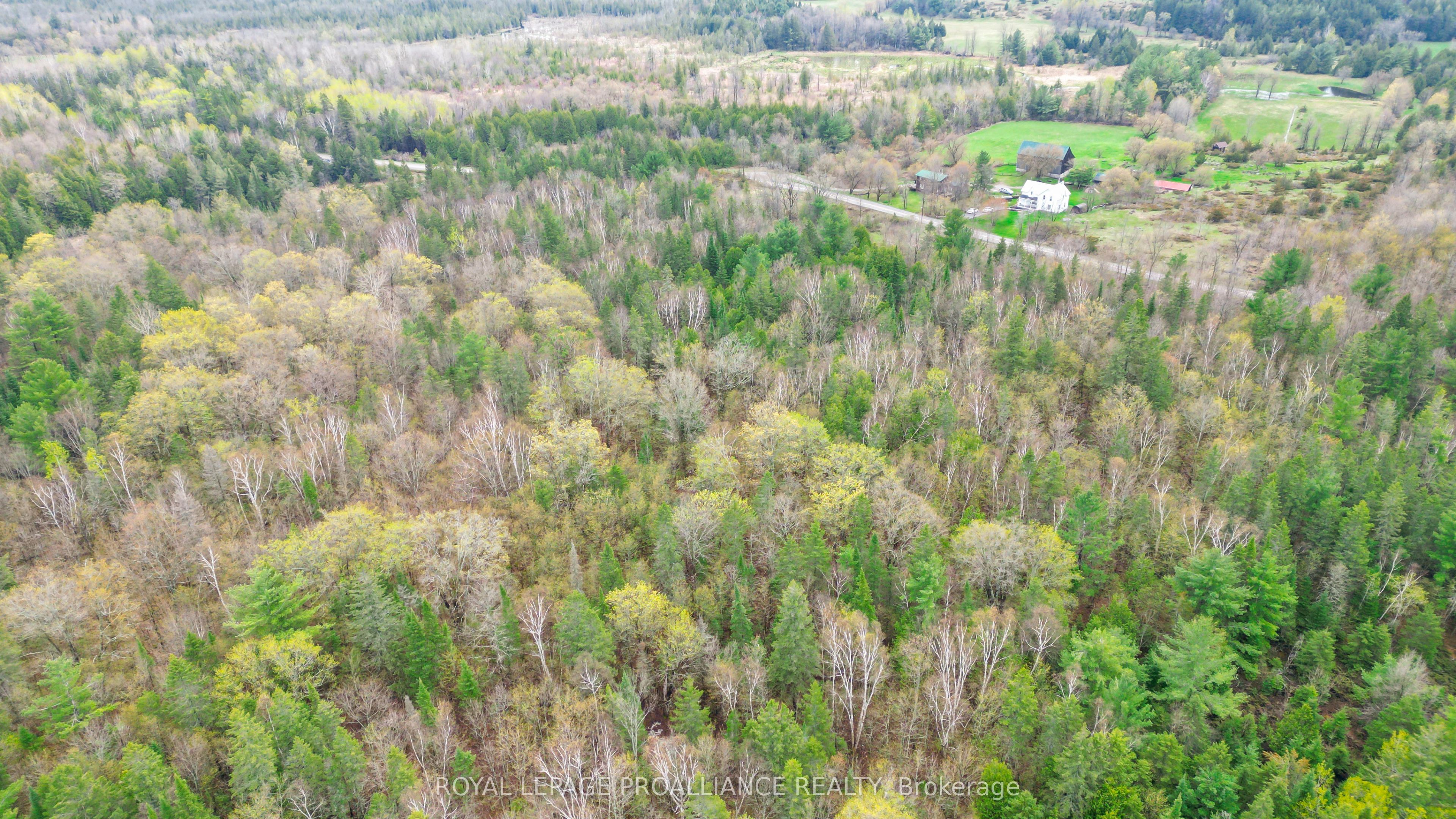 0 Spry Settlement Road Property Photo 6