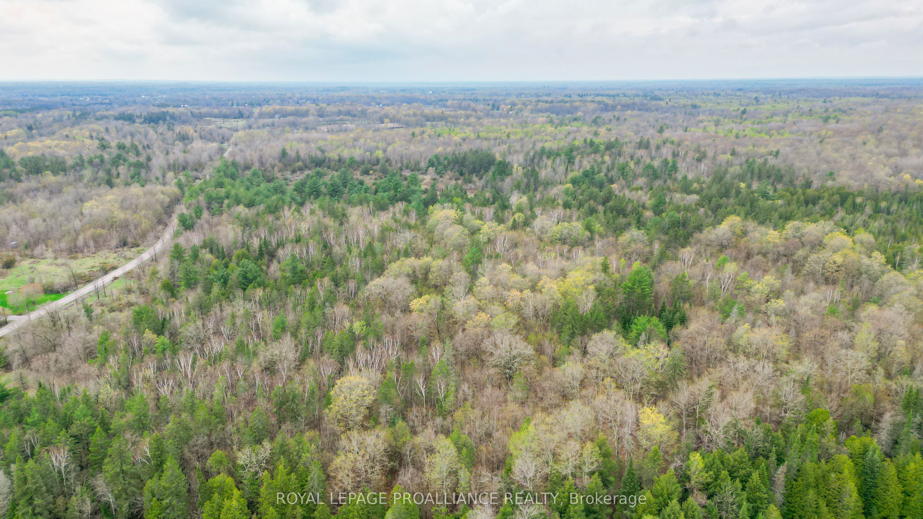 0 Spry Settlement Road Property Photo 8