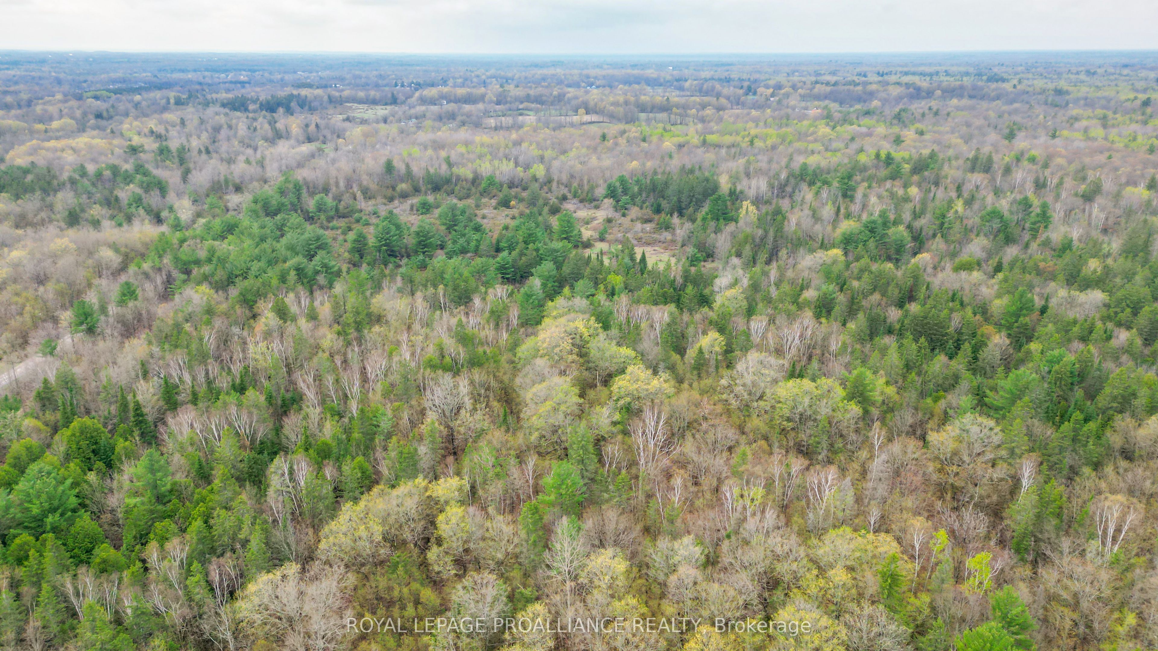 0 Spry Settlement Road Property Photo 9