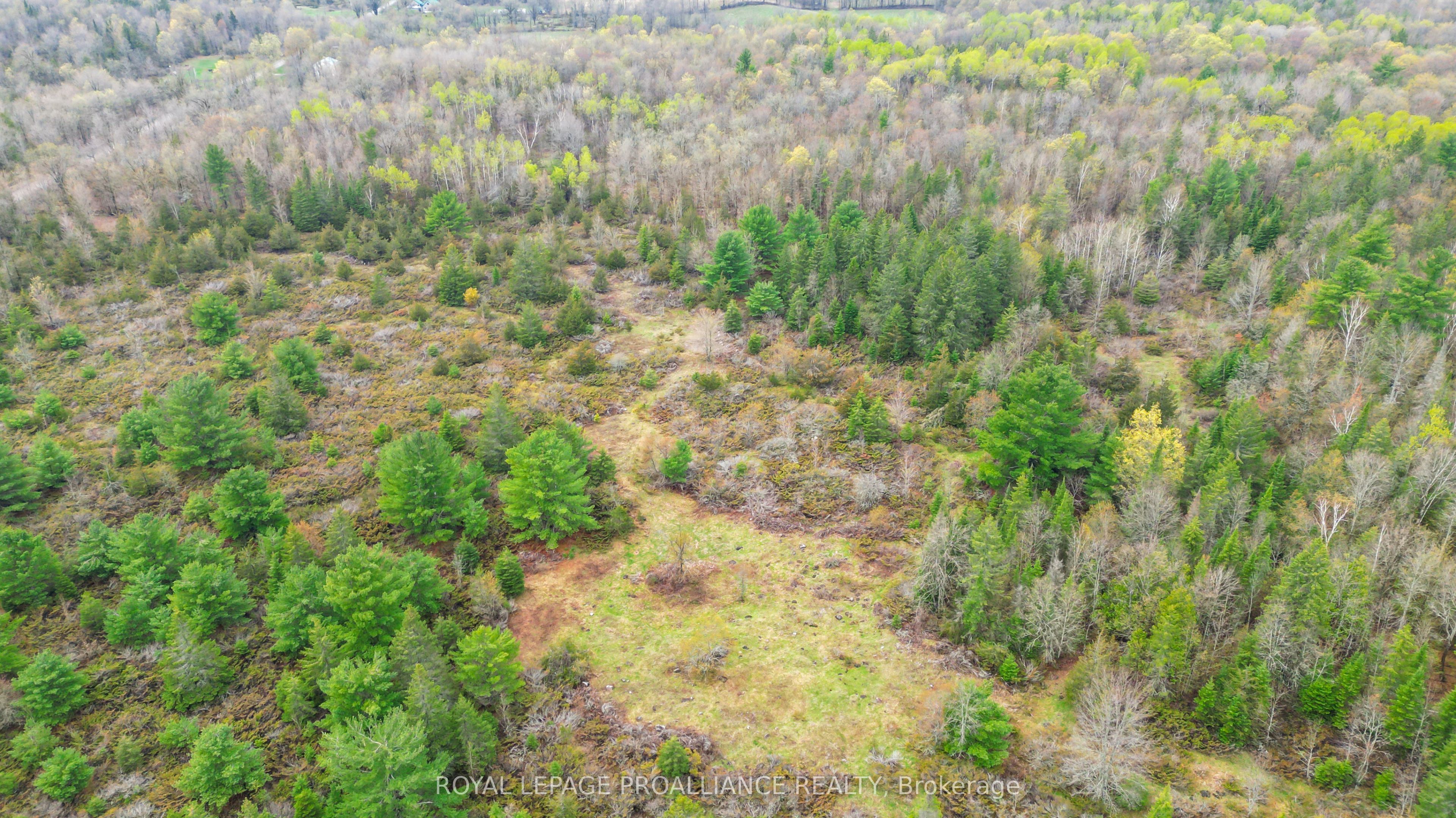 0 Spry Settlement Road Property Photo 11