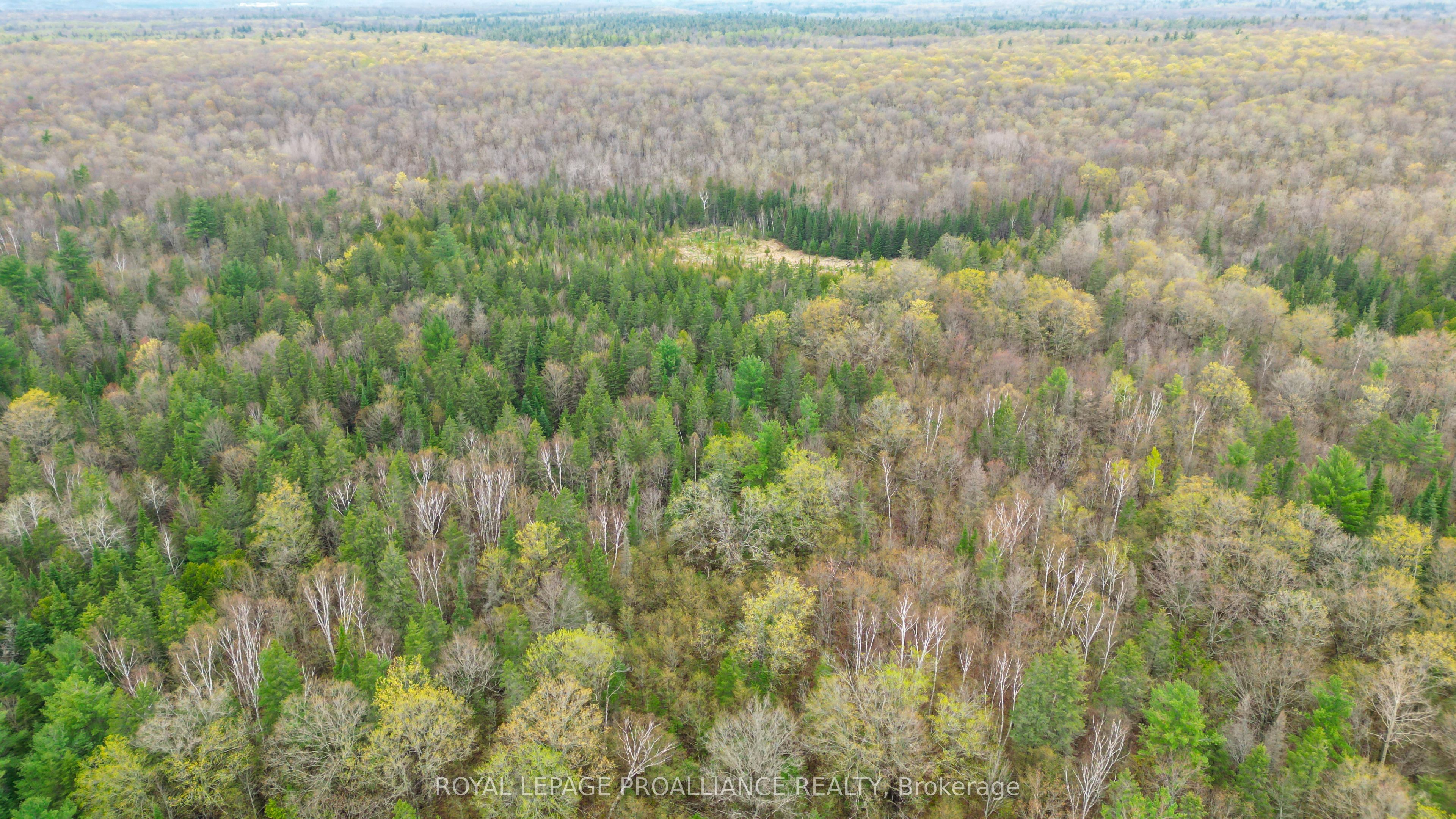 0 Spry Settlement Road Property Photo 13