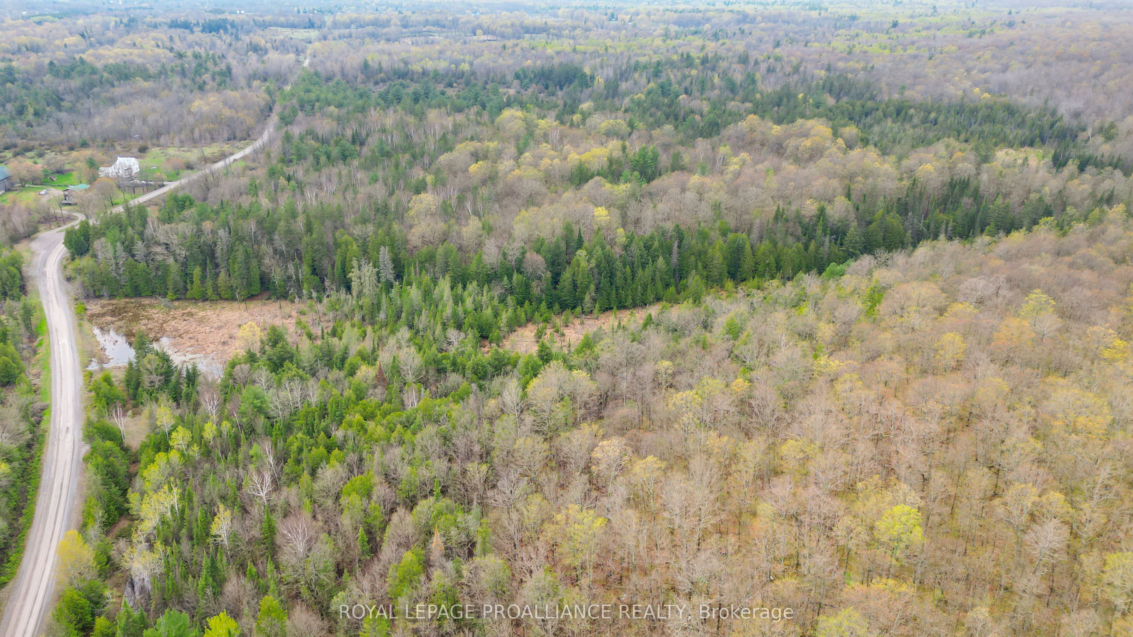 0 Spry Settlement Road Property Photo 15