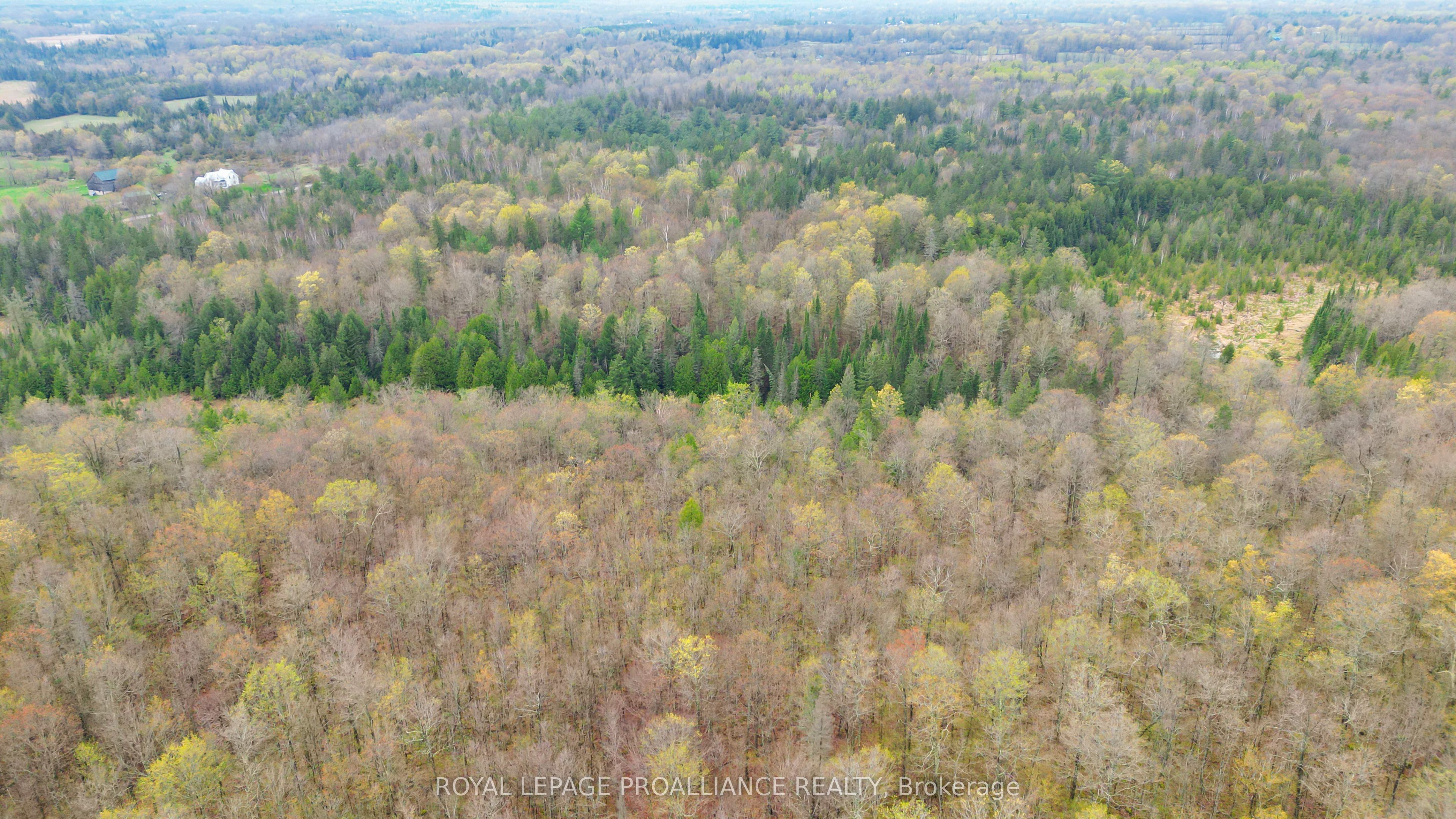 0 Spry Settlement Road Property Photo 16