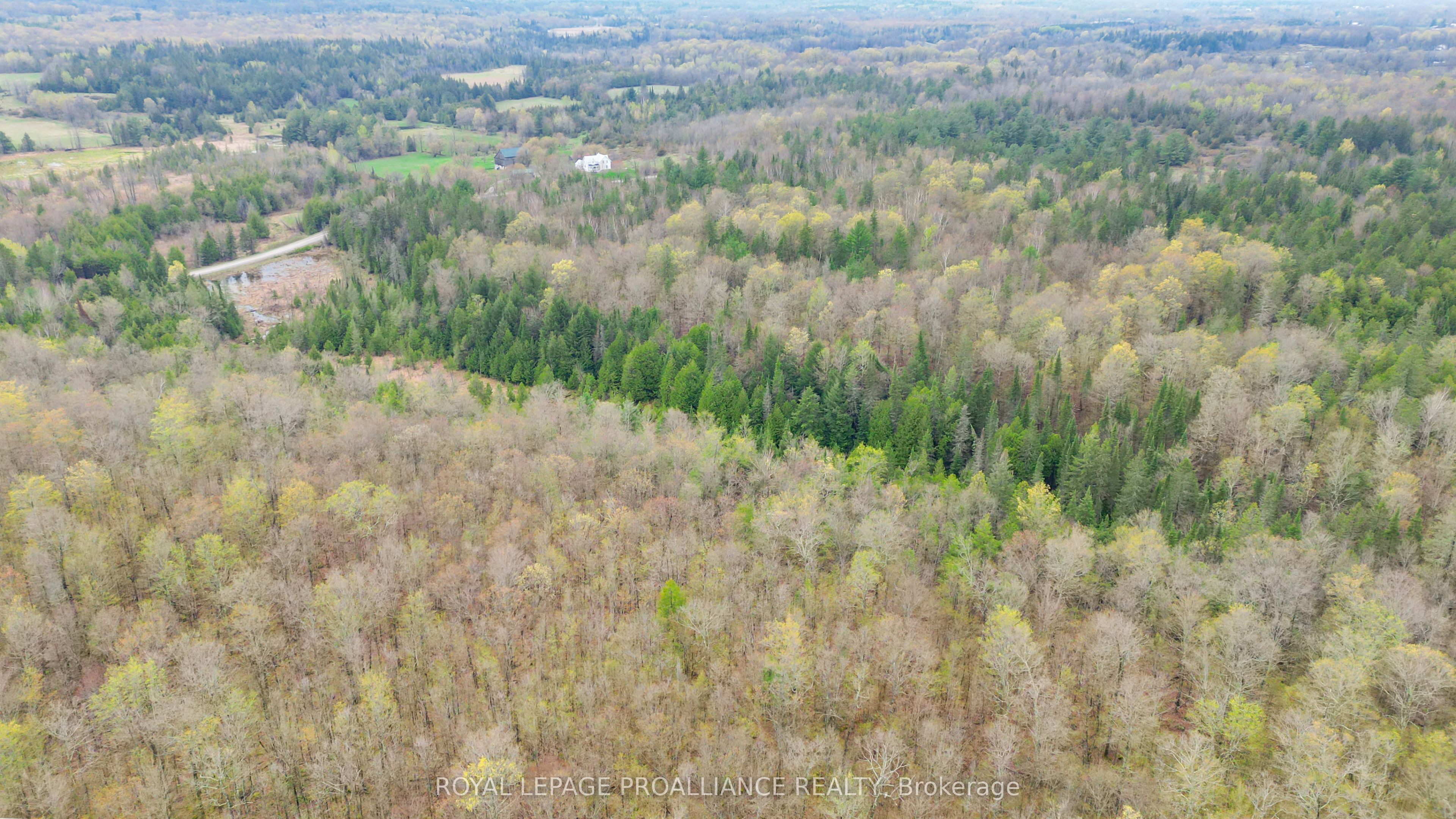 0 Spry Settlement Road Property Photo 17