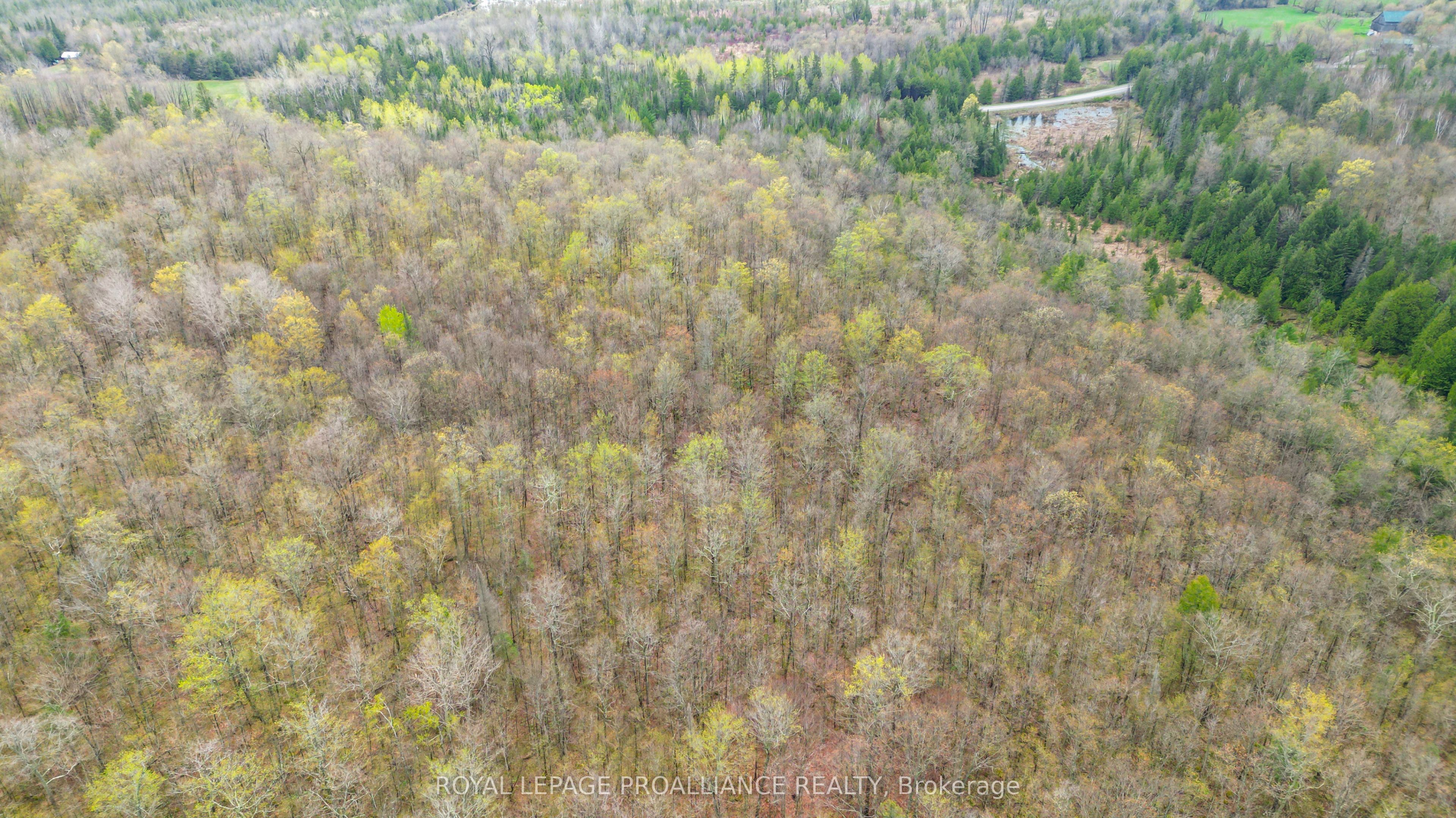 0 Spry Settlement Road Property Photo 18